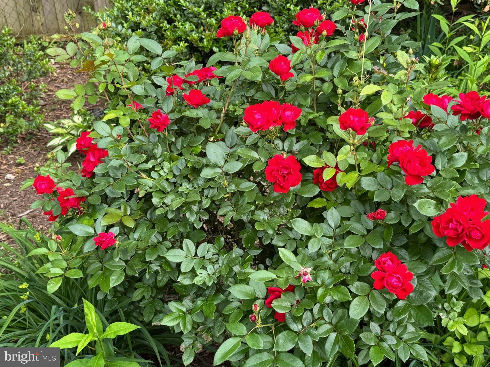 Real estate listing preview #91