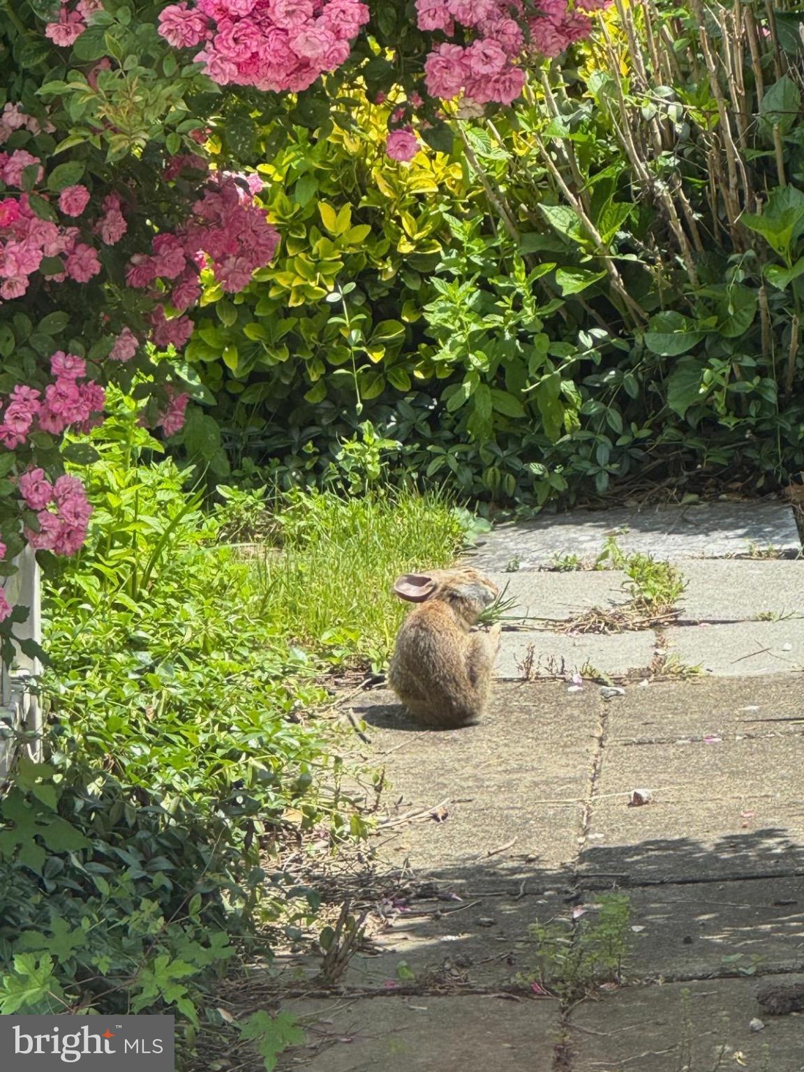 Real estate listing preview #93