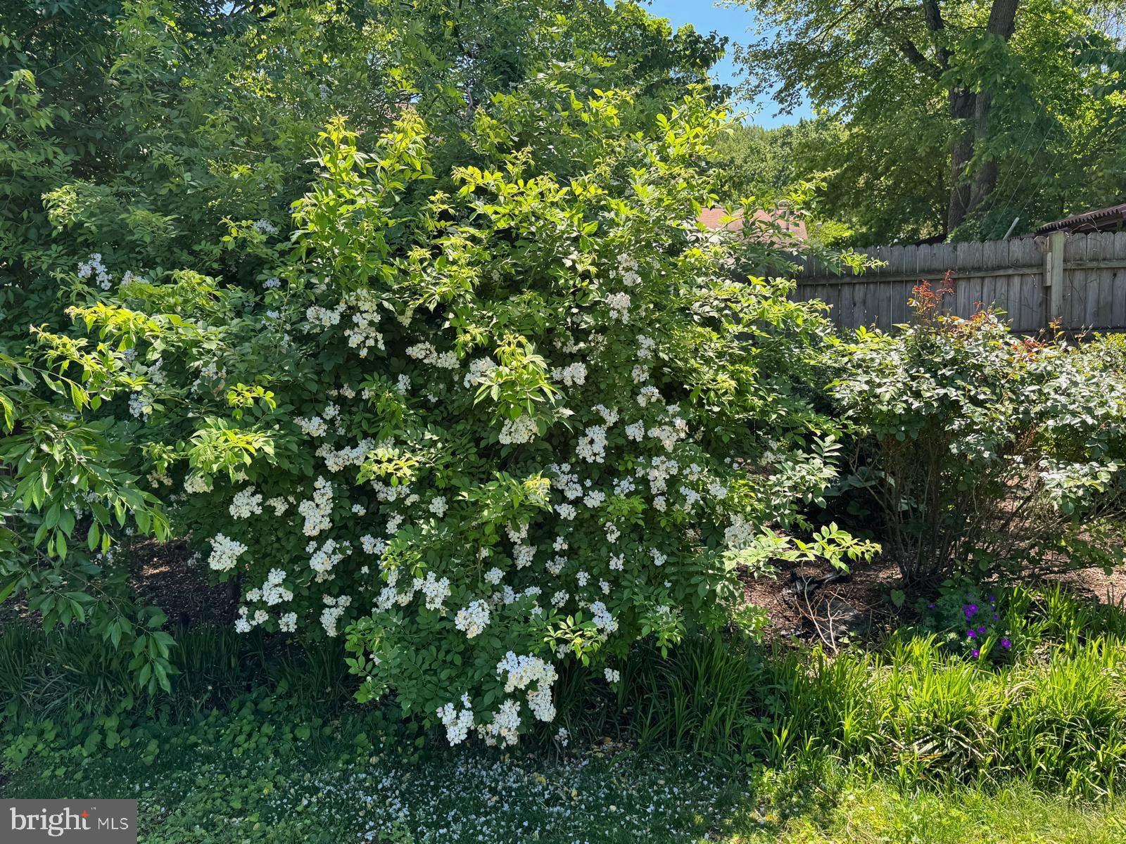 Real estate listing preview #97