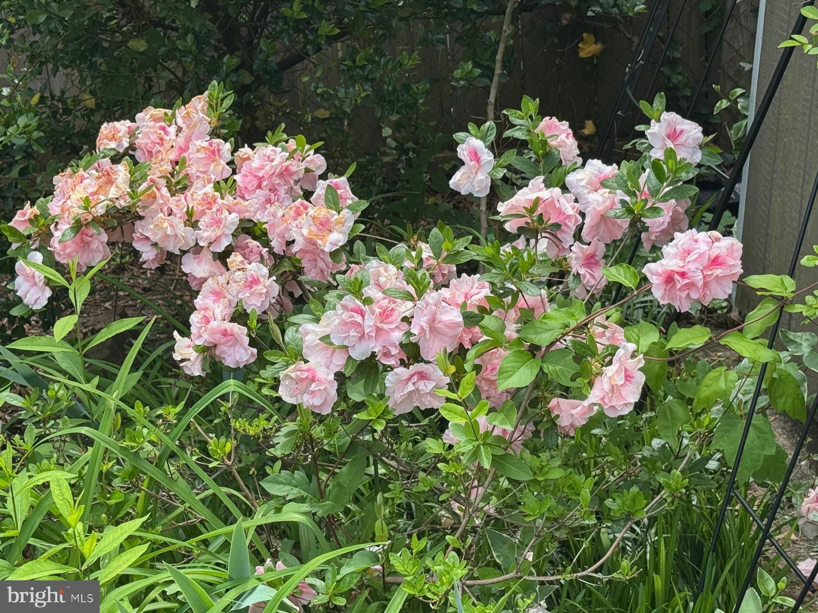 Real estate listing preview #106