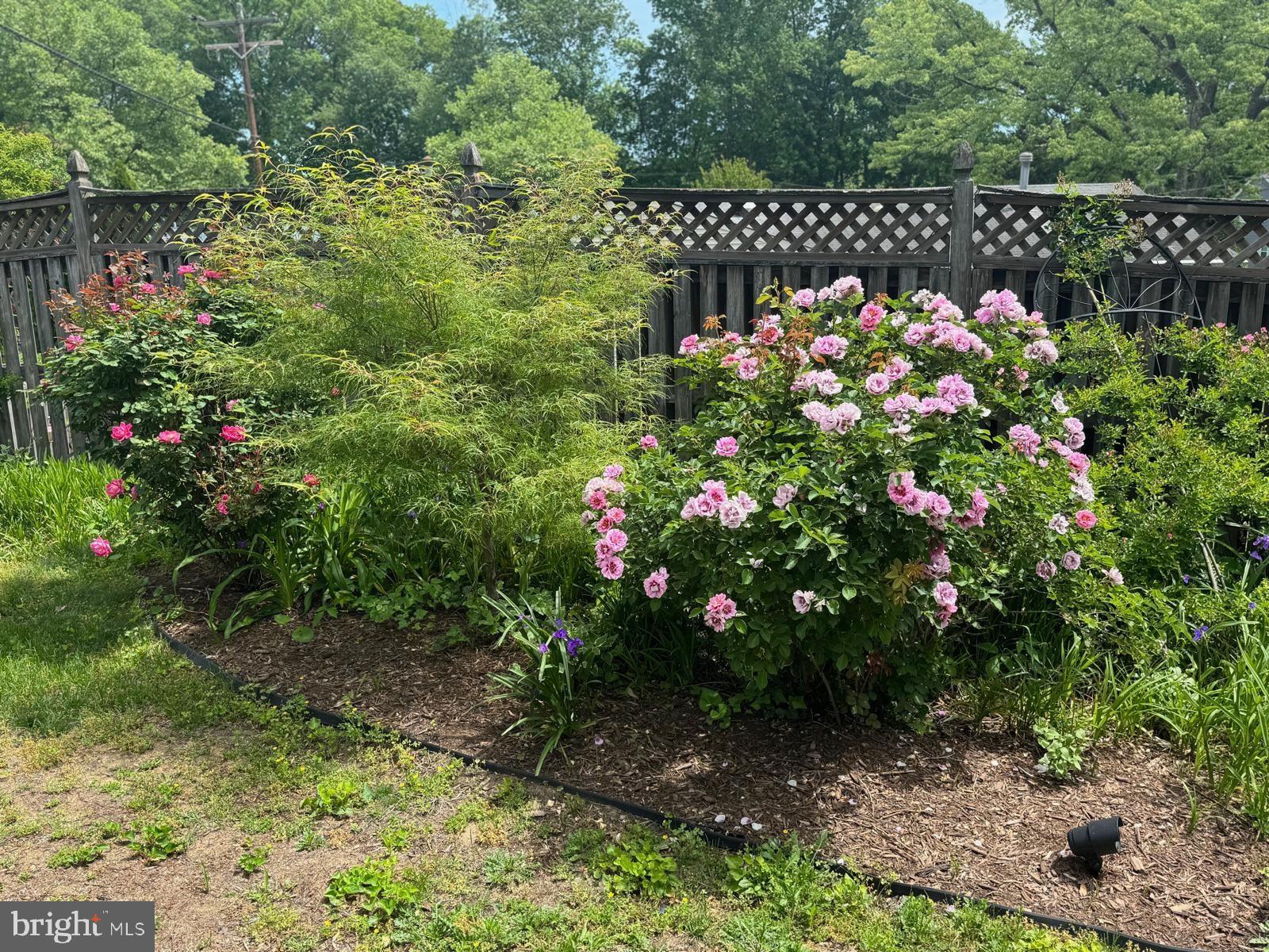 Real estate listing preview #103