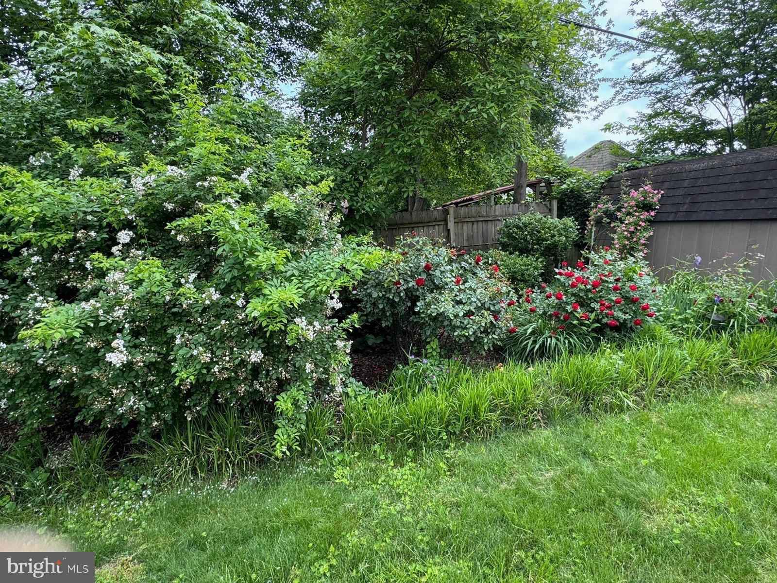 Real estate listing preview #63