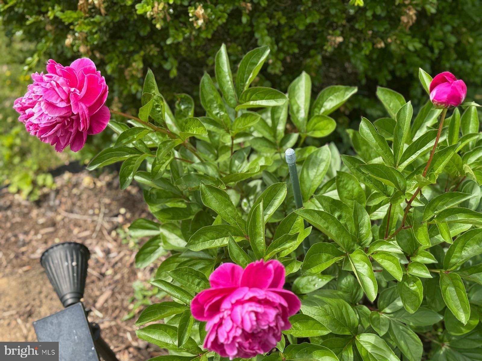 Real estate listing preview #88