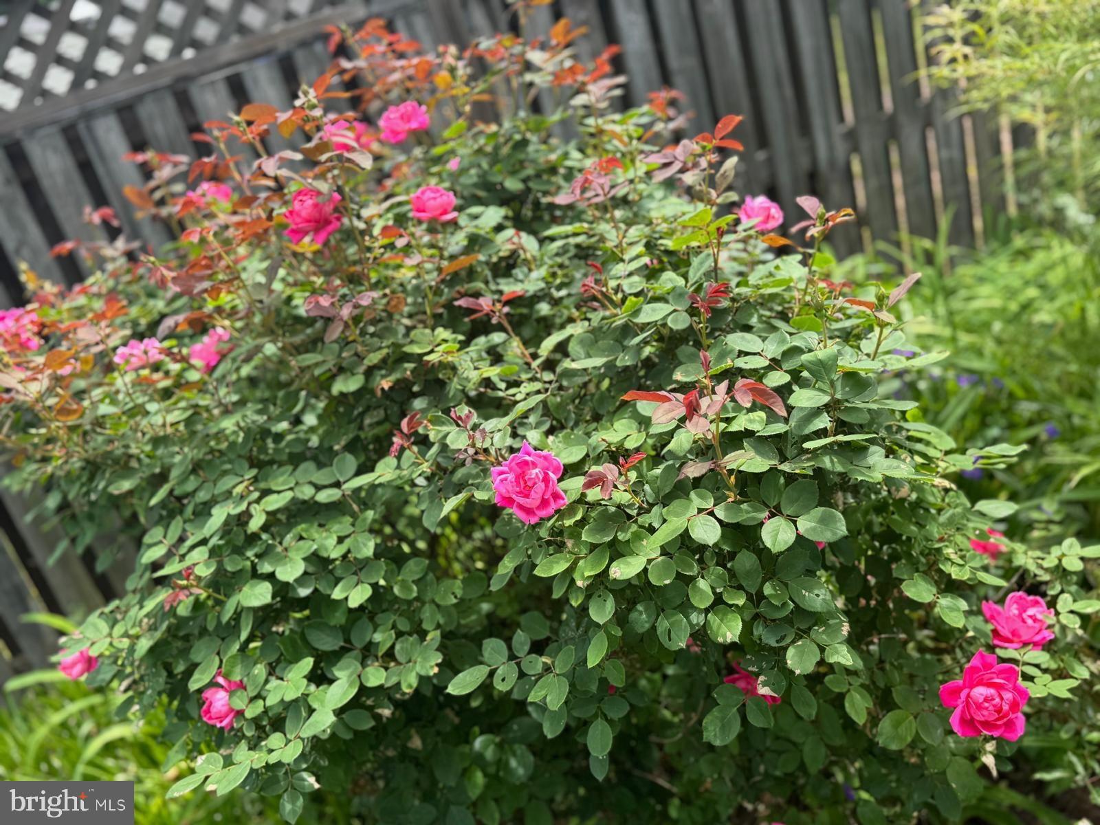 Real estate listing preview #90