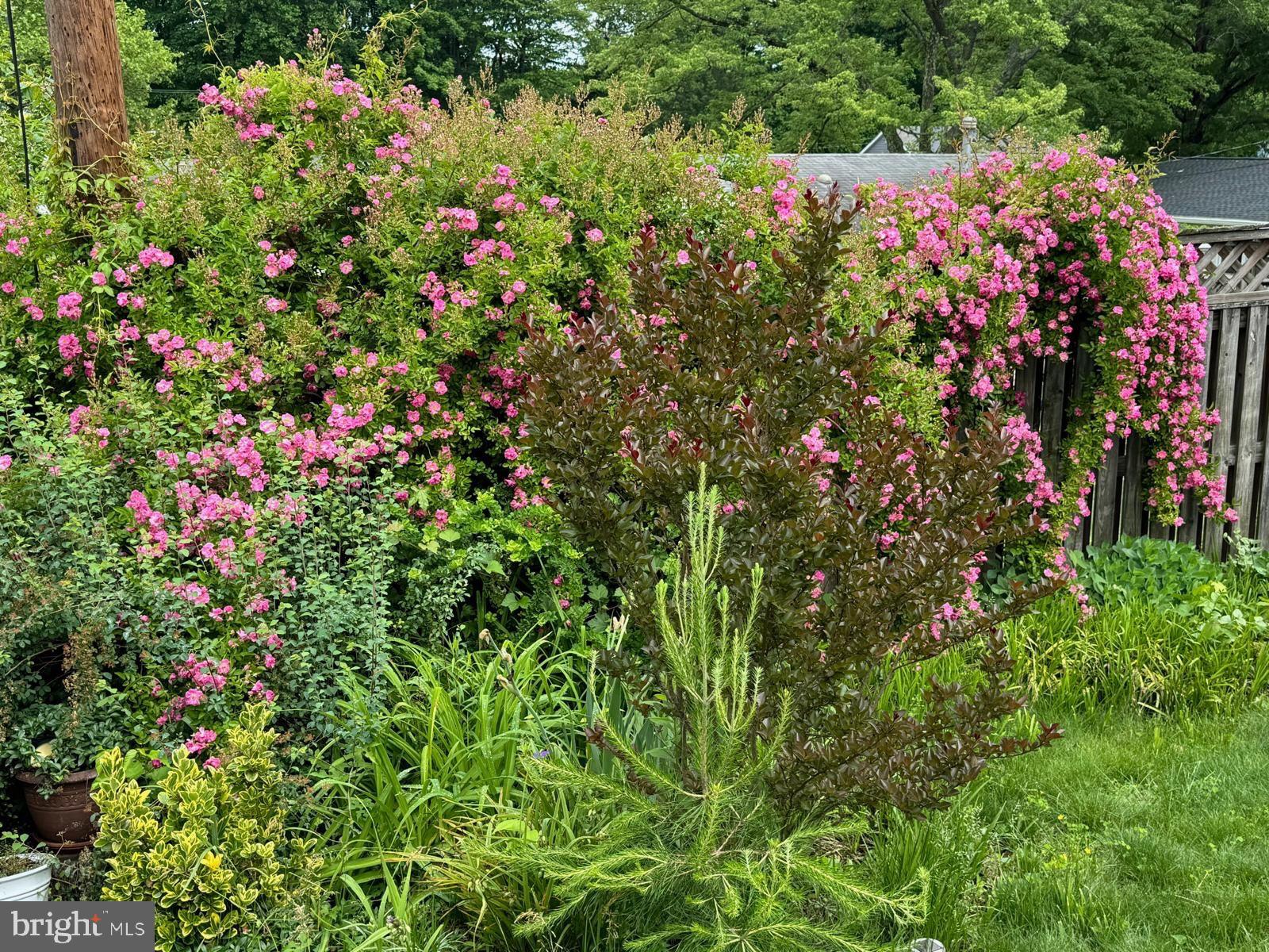 Real estate listing preview #69