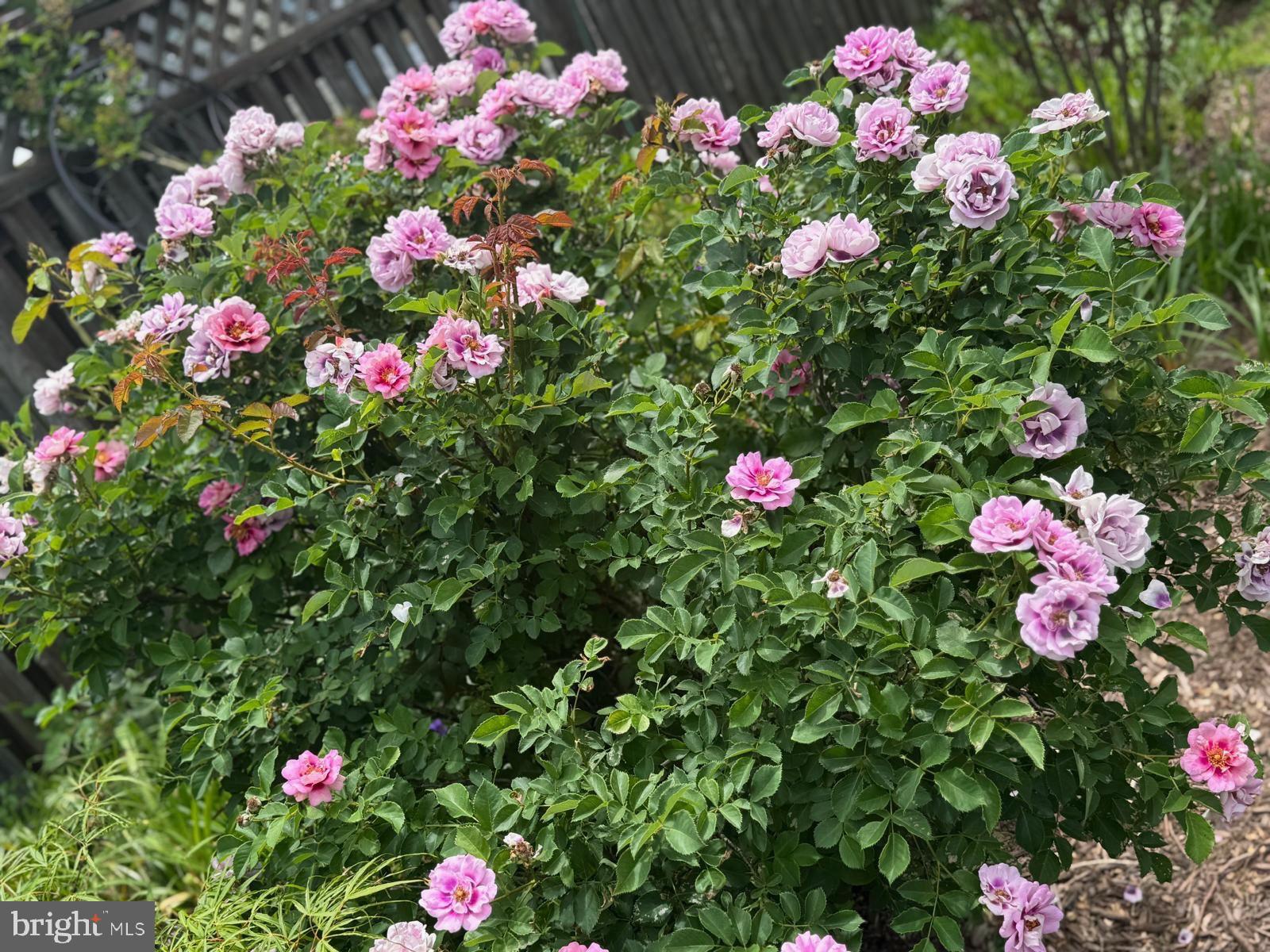 Real estate listing preview #89