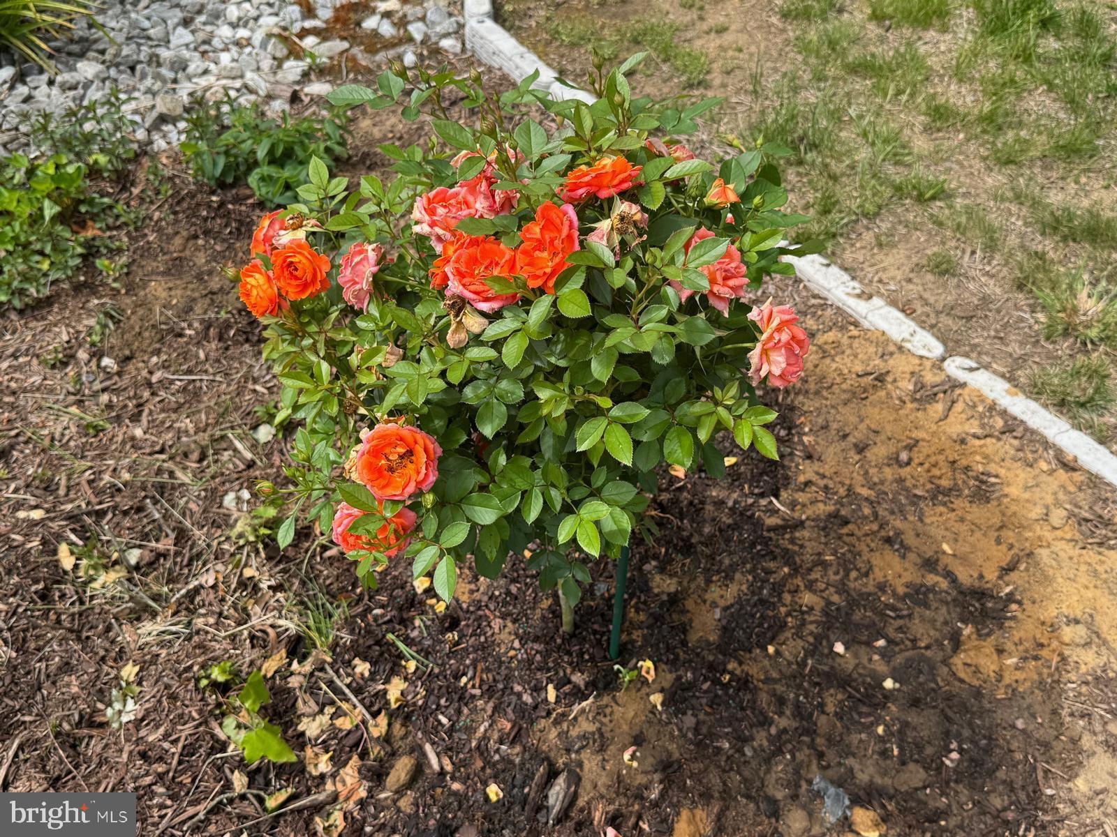 Real estate listing preview #108