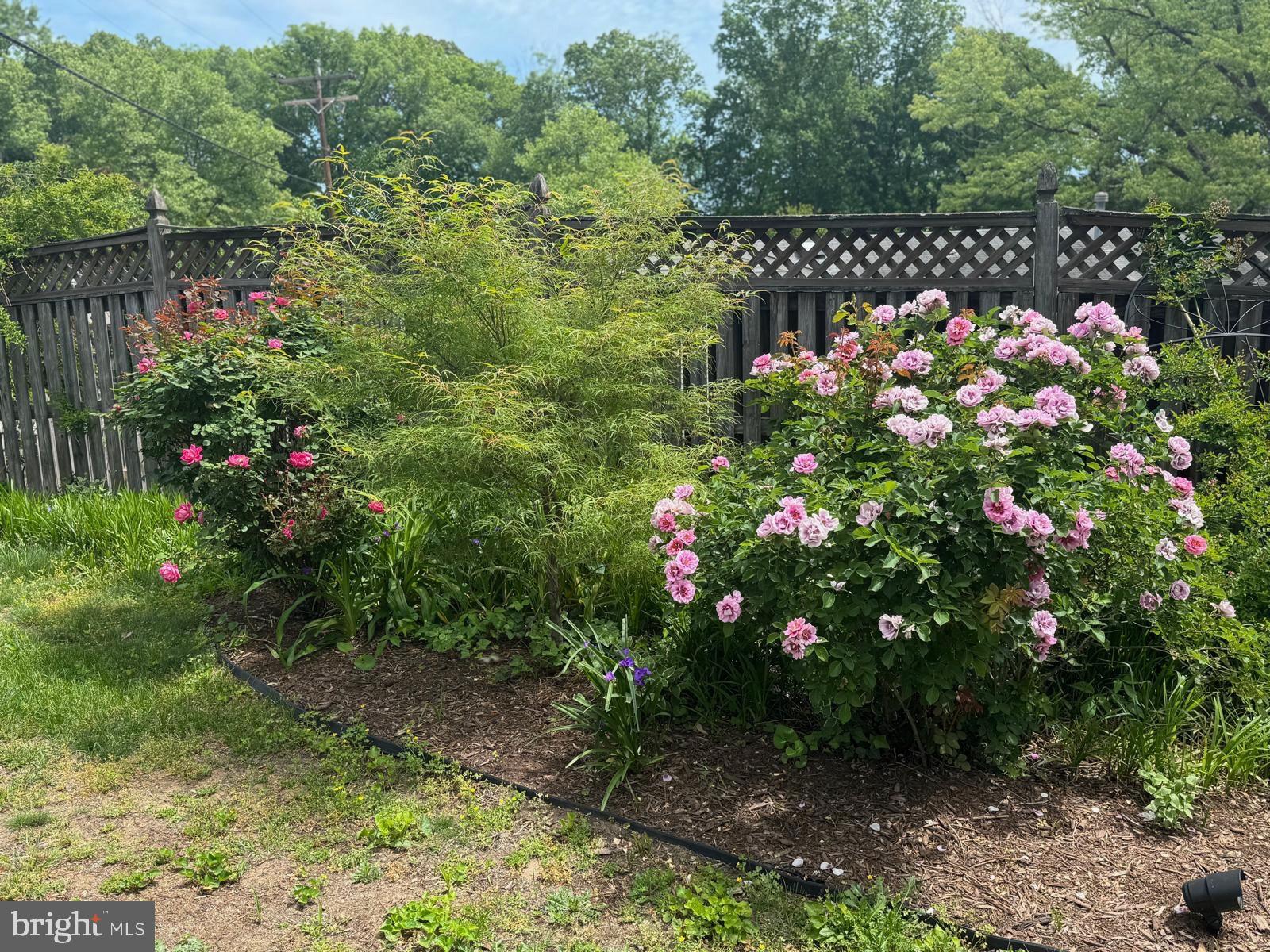 Real estate listing preview #104