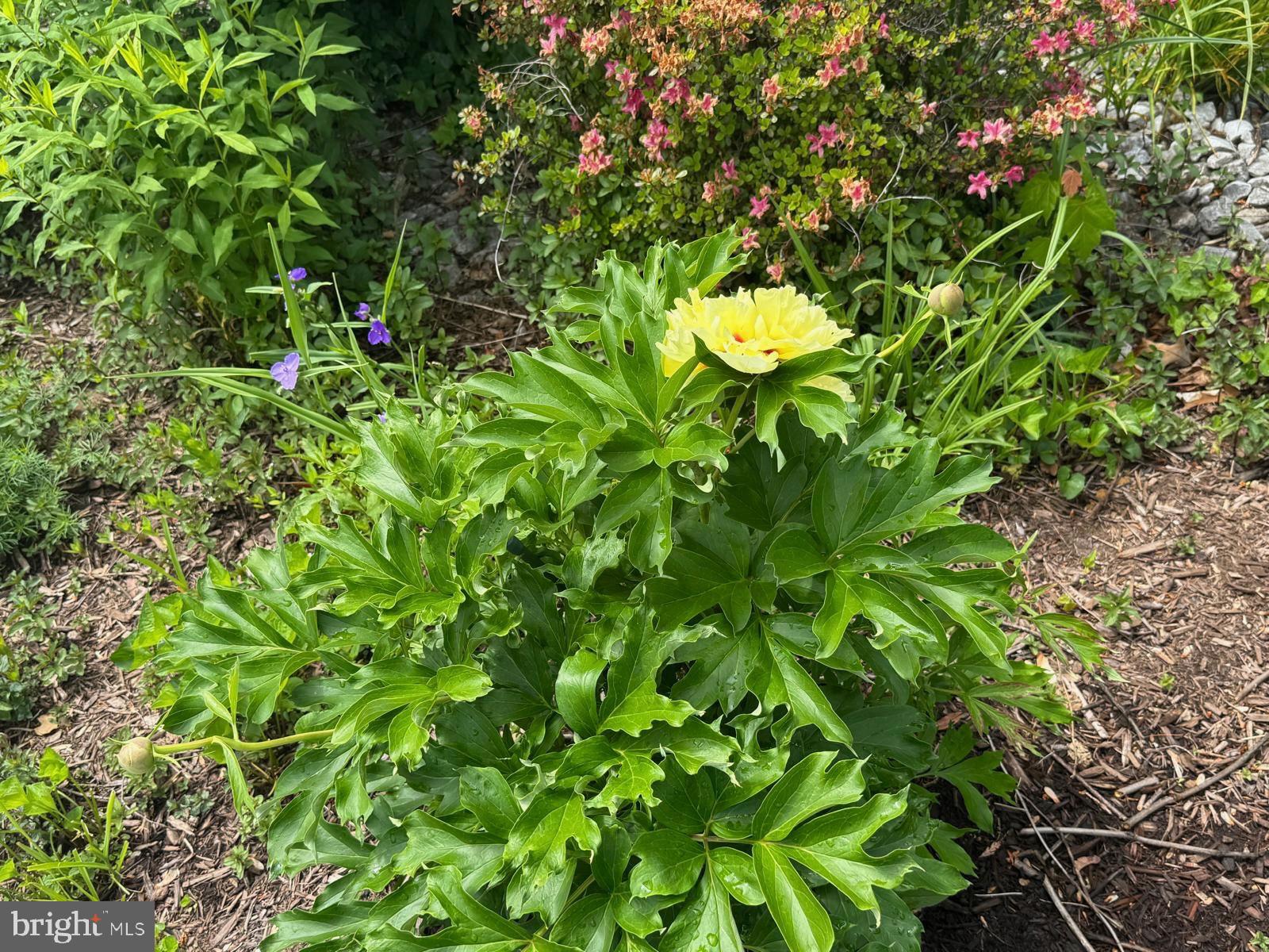 Real estate listing preview #107