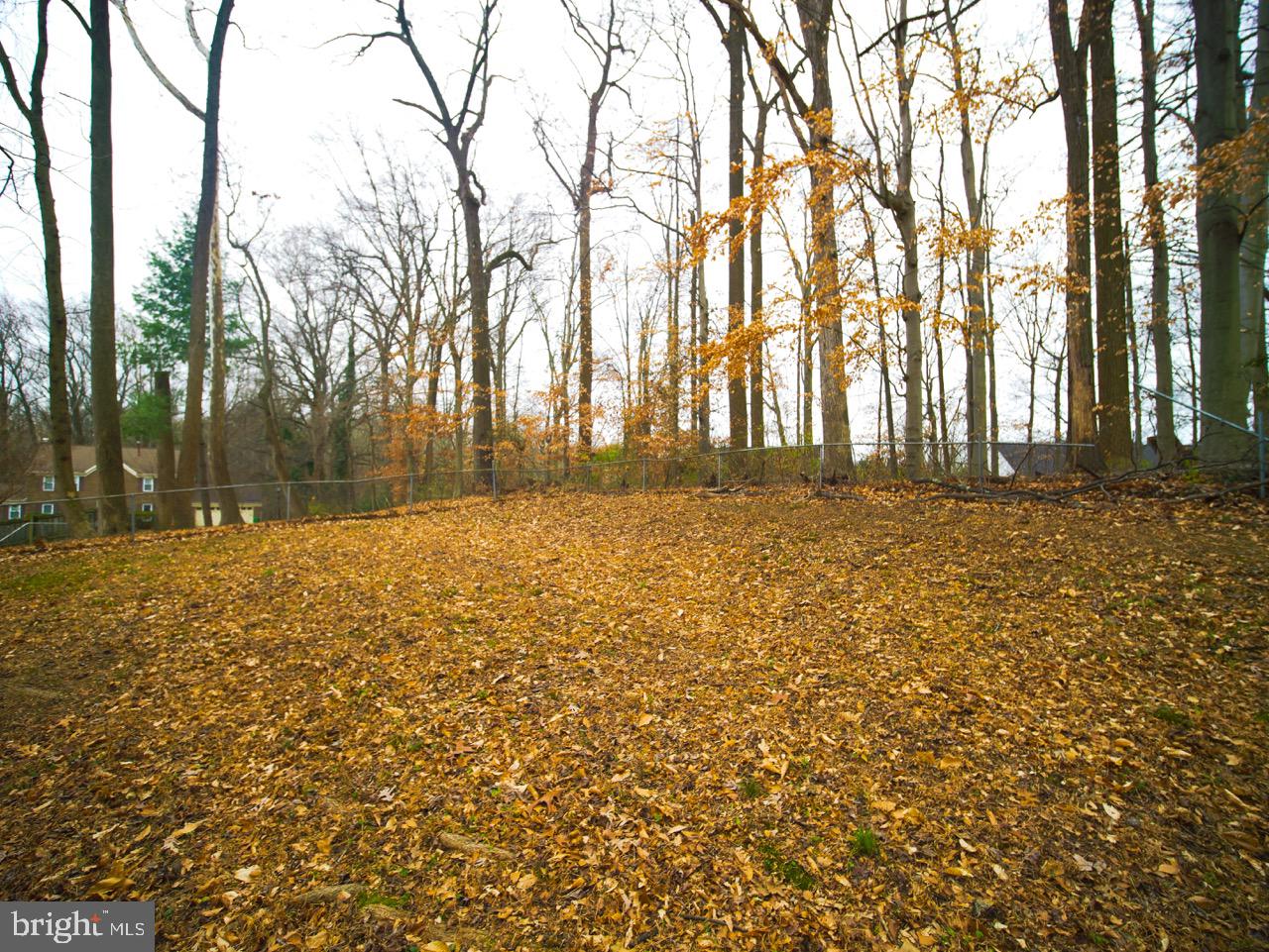 Real estate listing preview #36