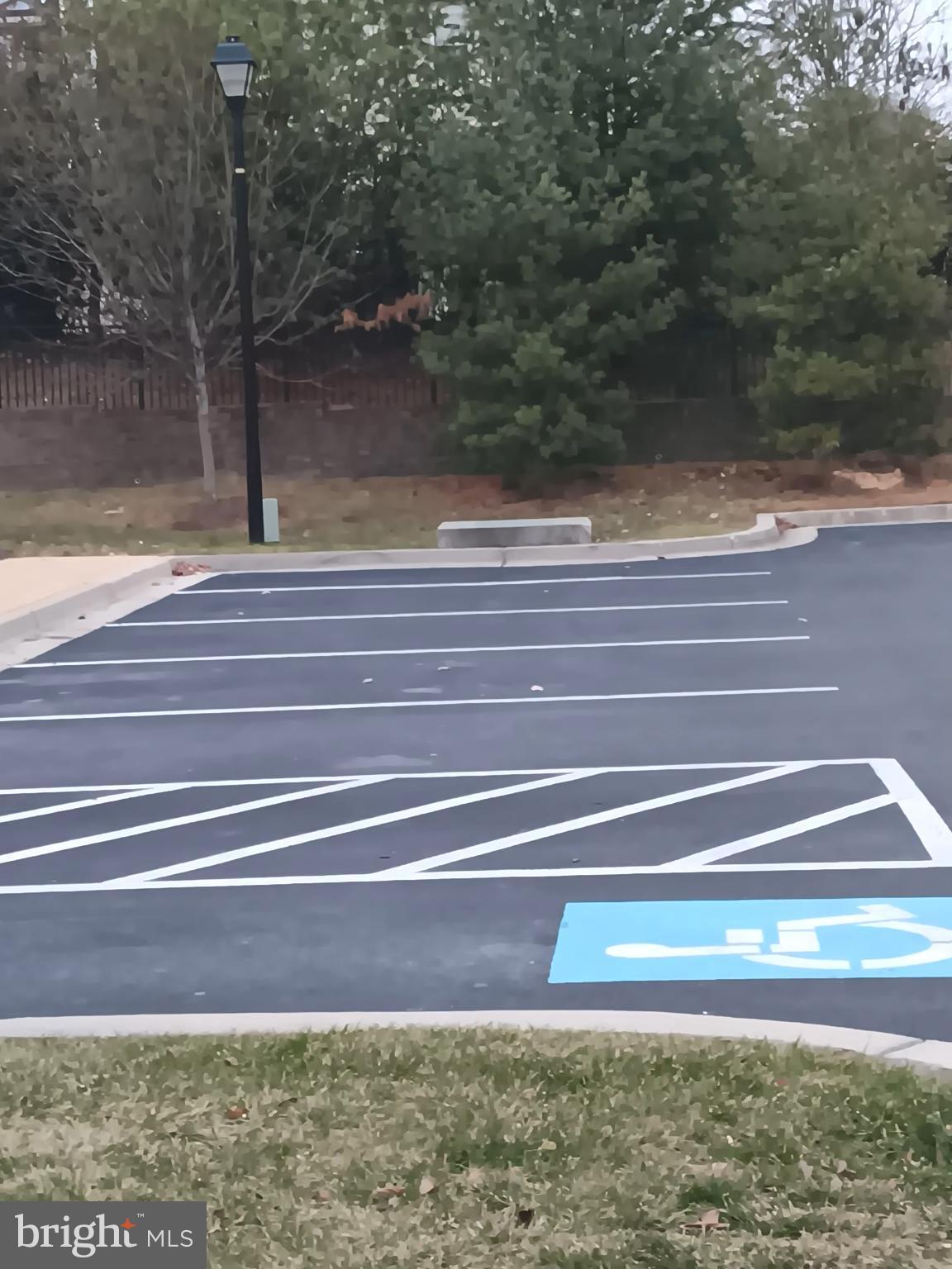 Real estate listing preview #18