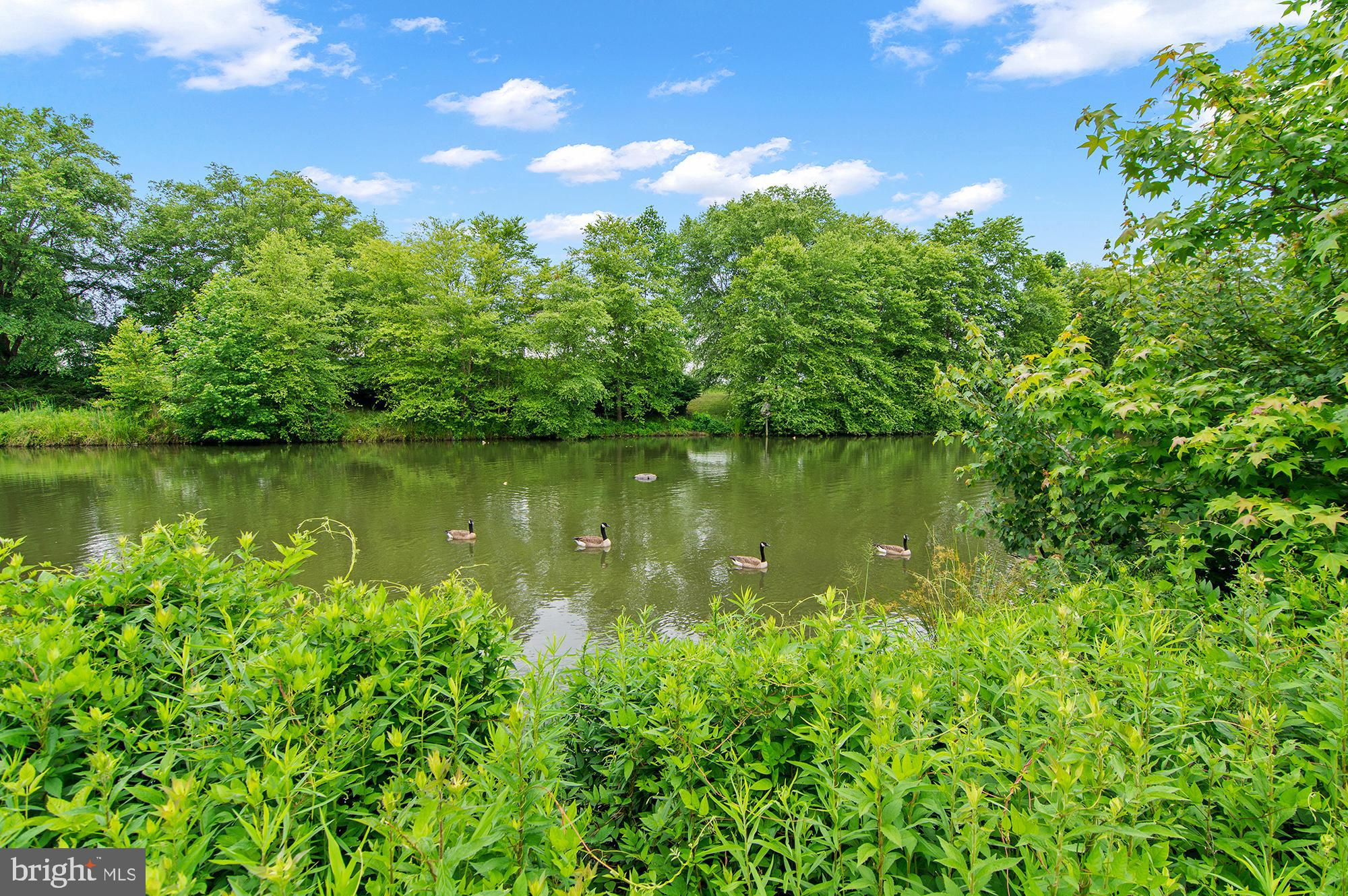 Real estate listing preview #53