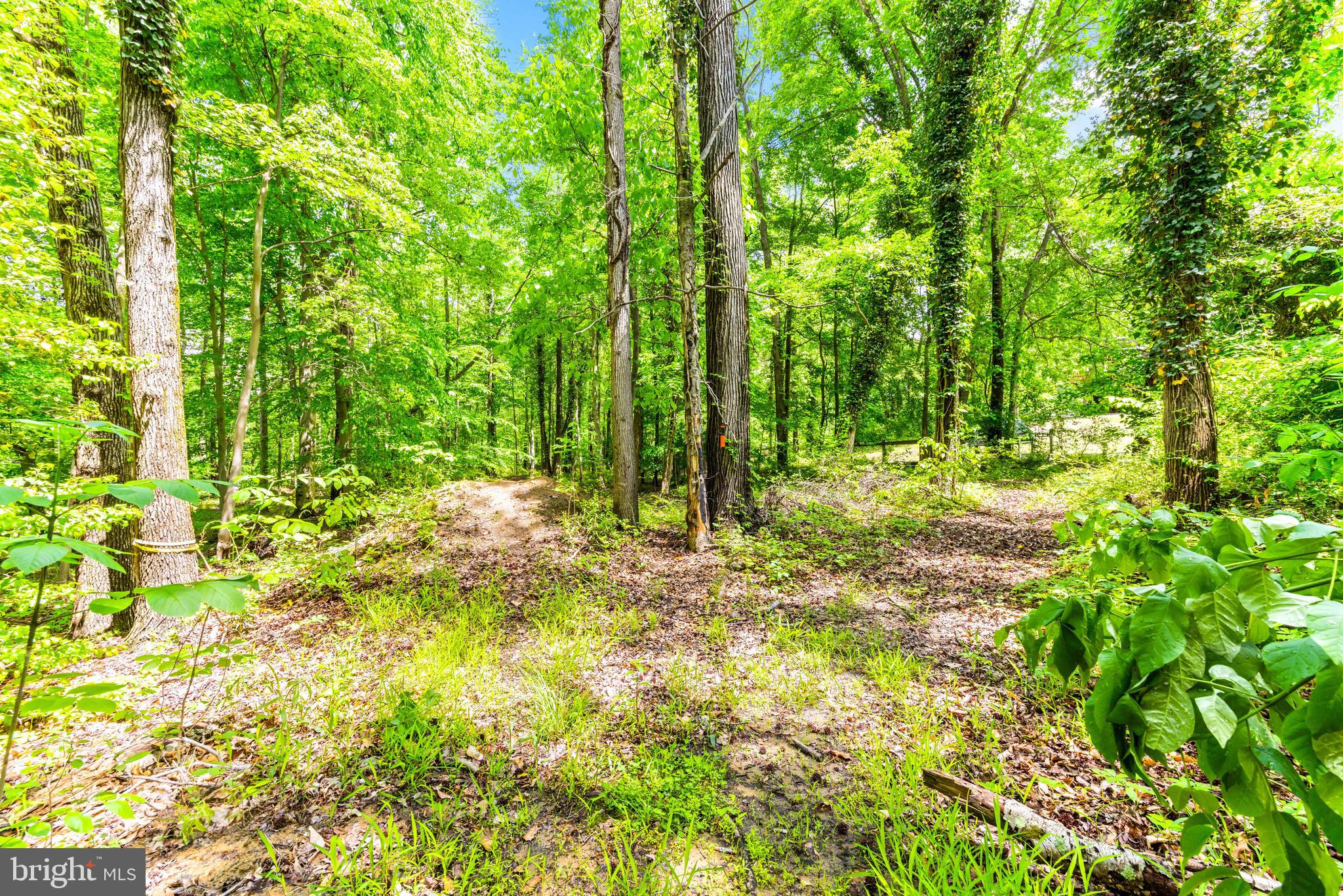 Real estate listing preview #76