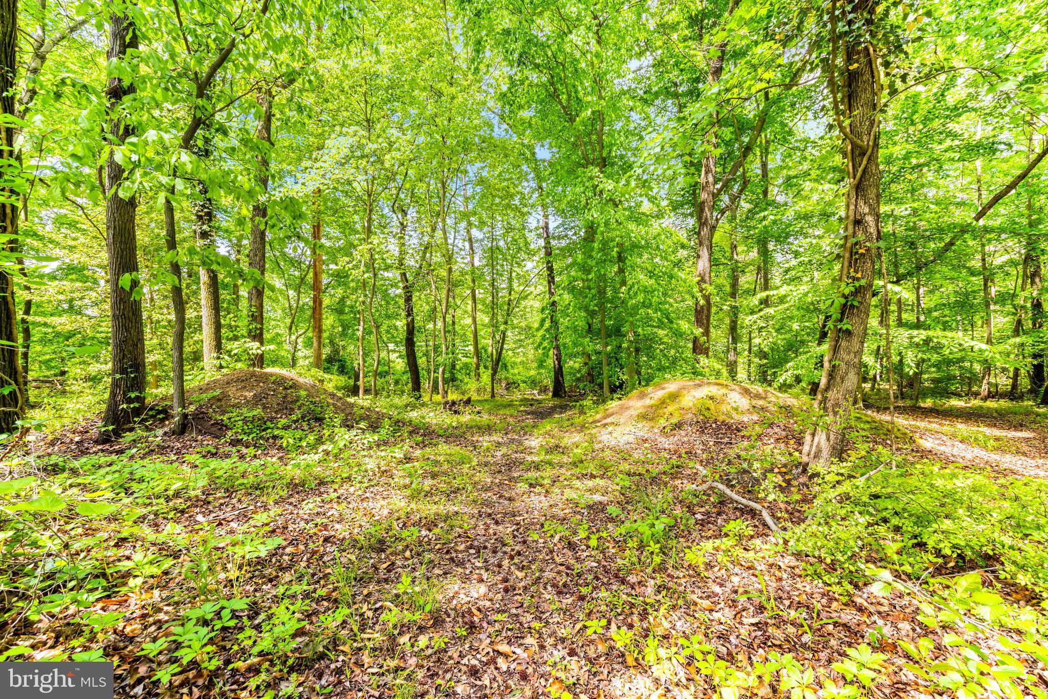 Real estate listing preview #77