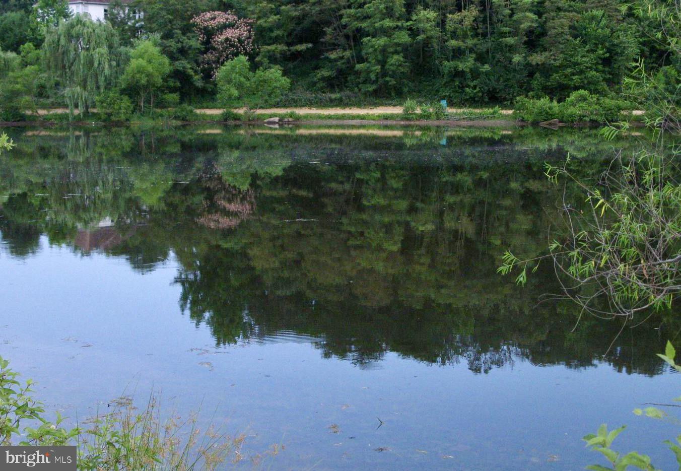 Real estate listing preview #9