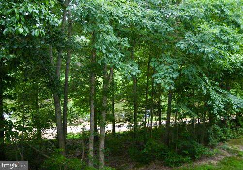 Real estate listing preview #10