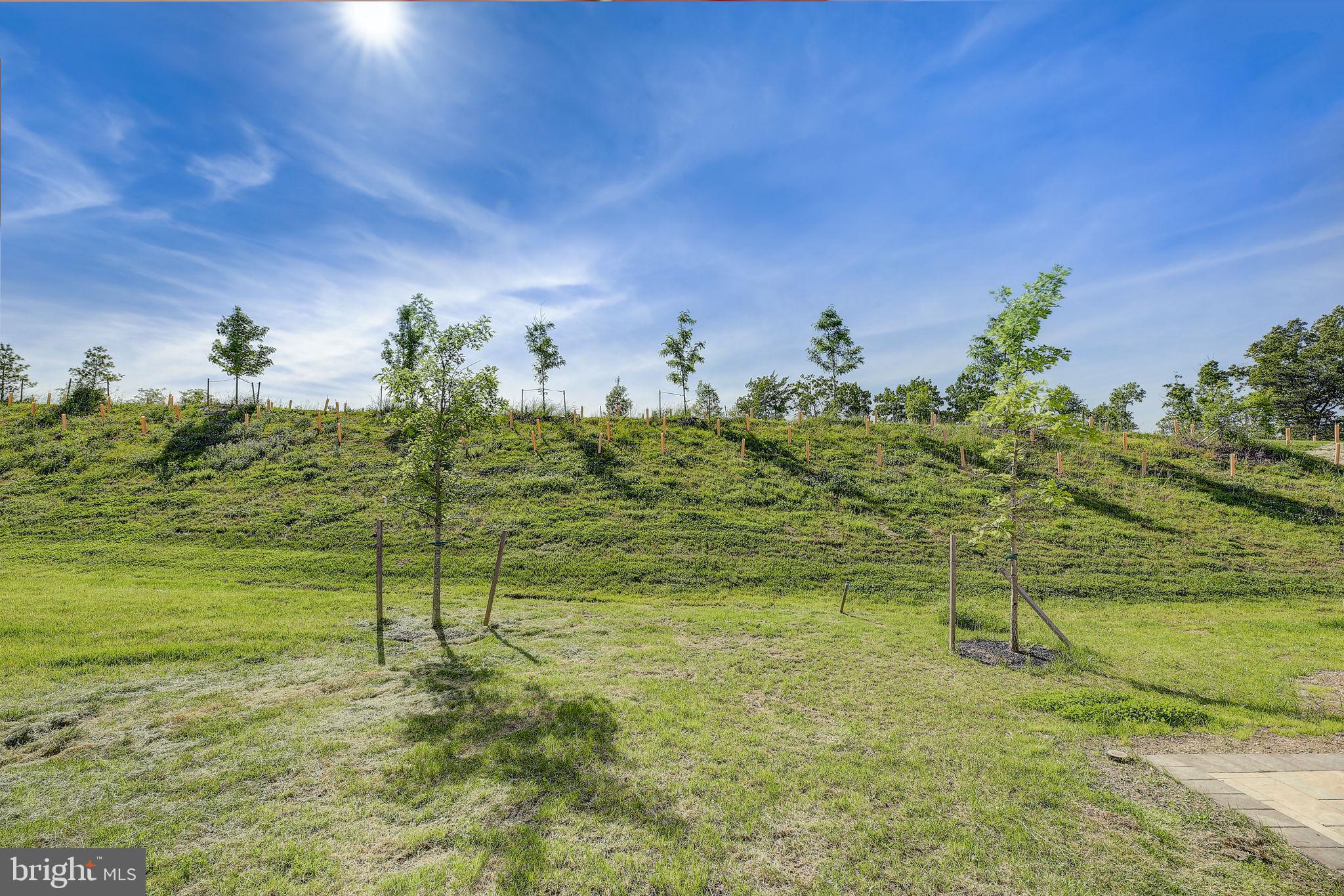 Real estate listing preview #33