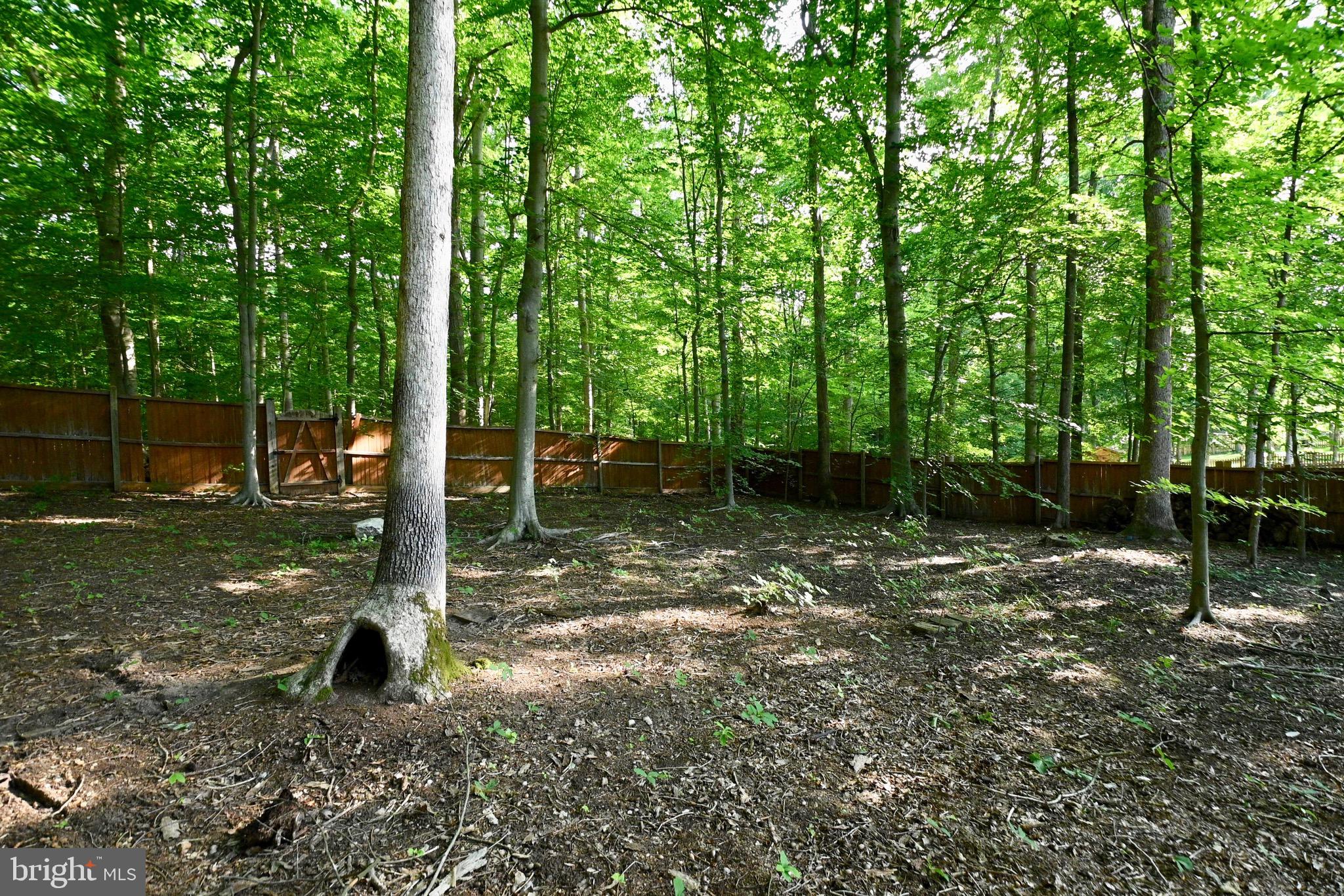 Real estate listing preview #44