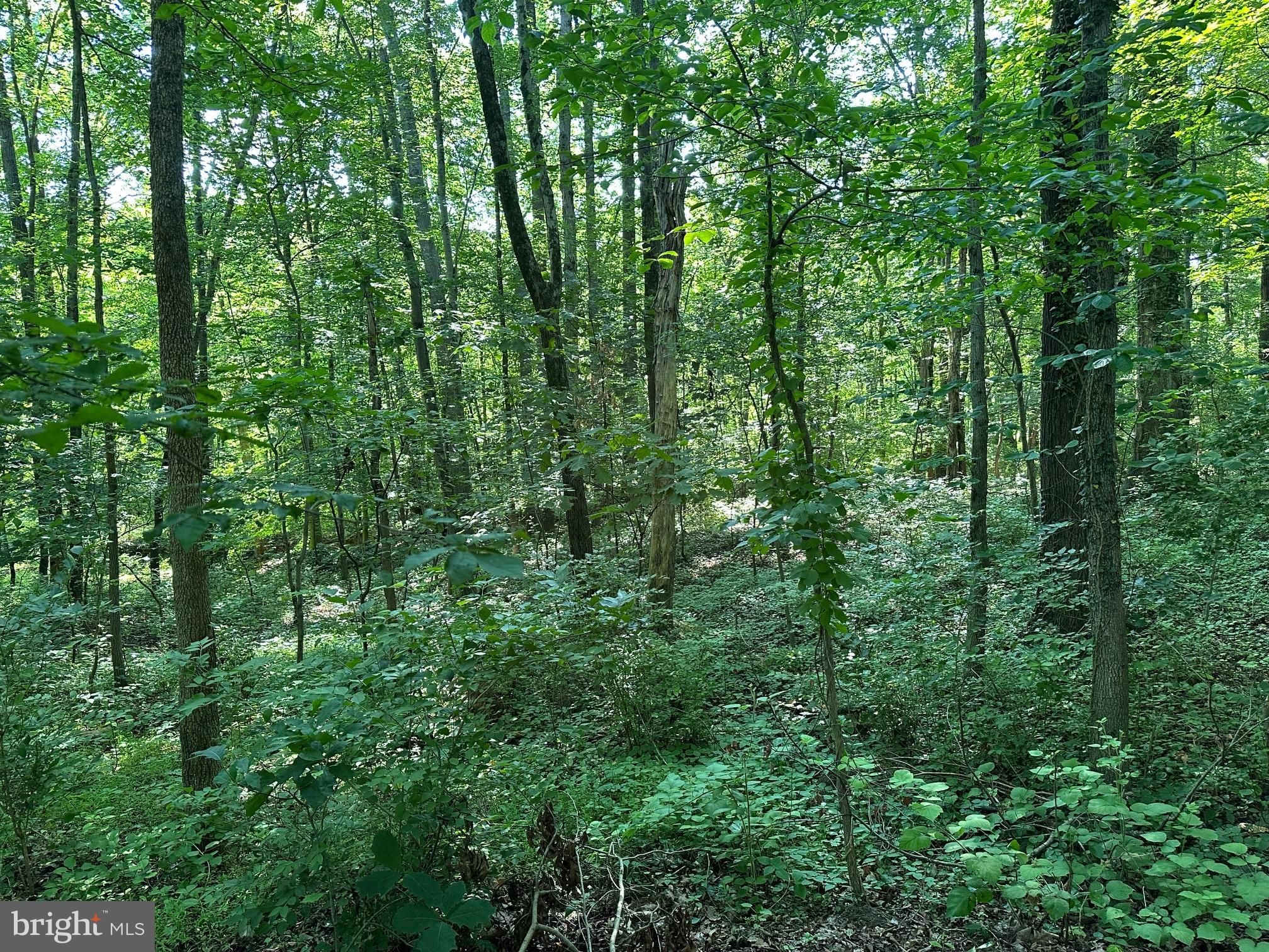 Real estate listing preview #13