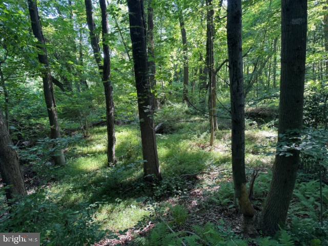 Real estate listing preview #14