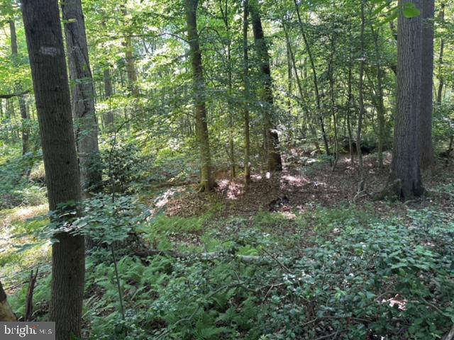 Real estate listing preview #9