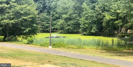 Real estate listing preview #20