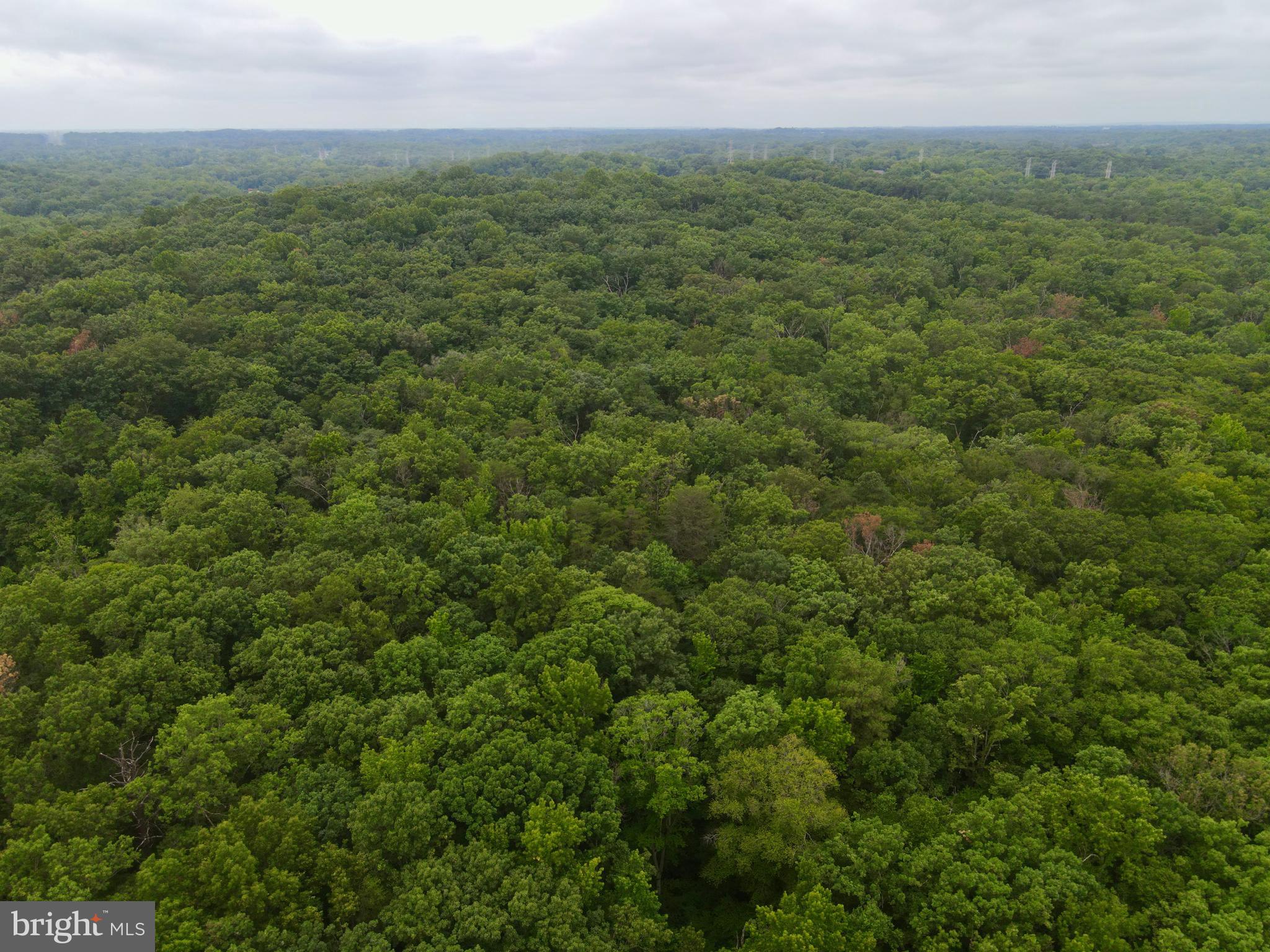 Real estate listing preview #10