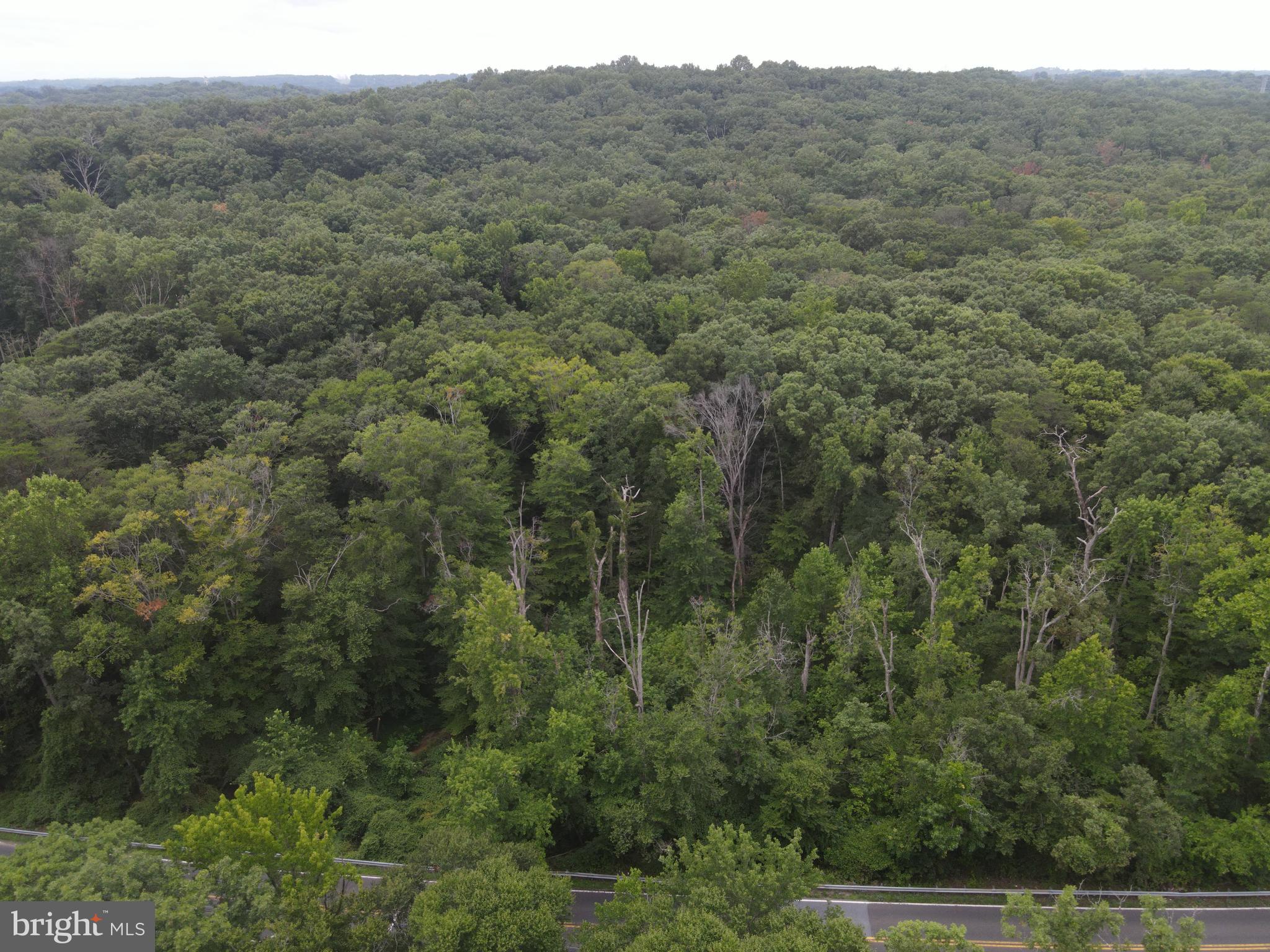 Real estate listing preview #11