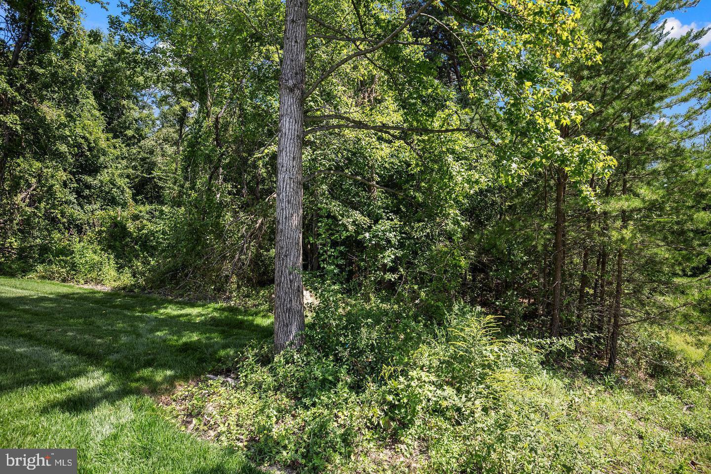 Real estate listing preview #9