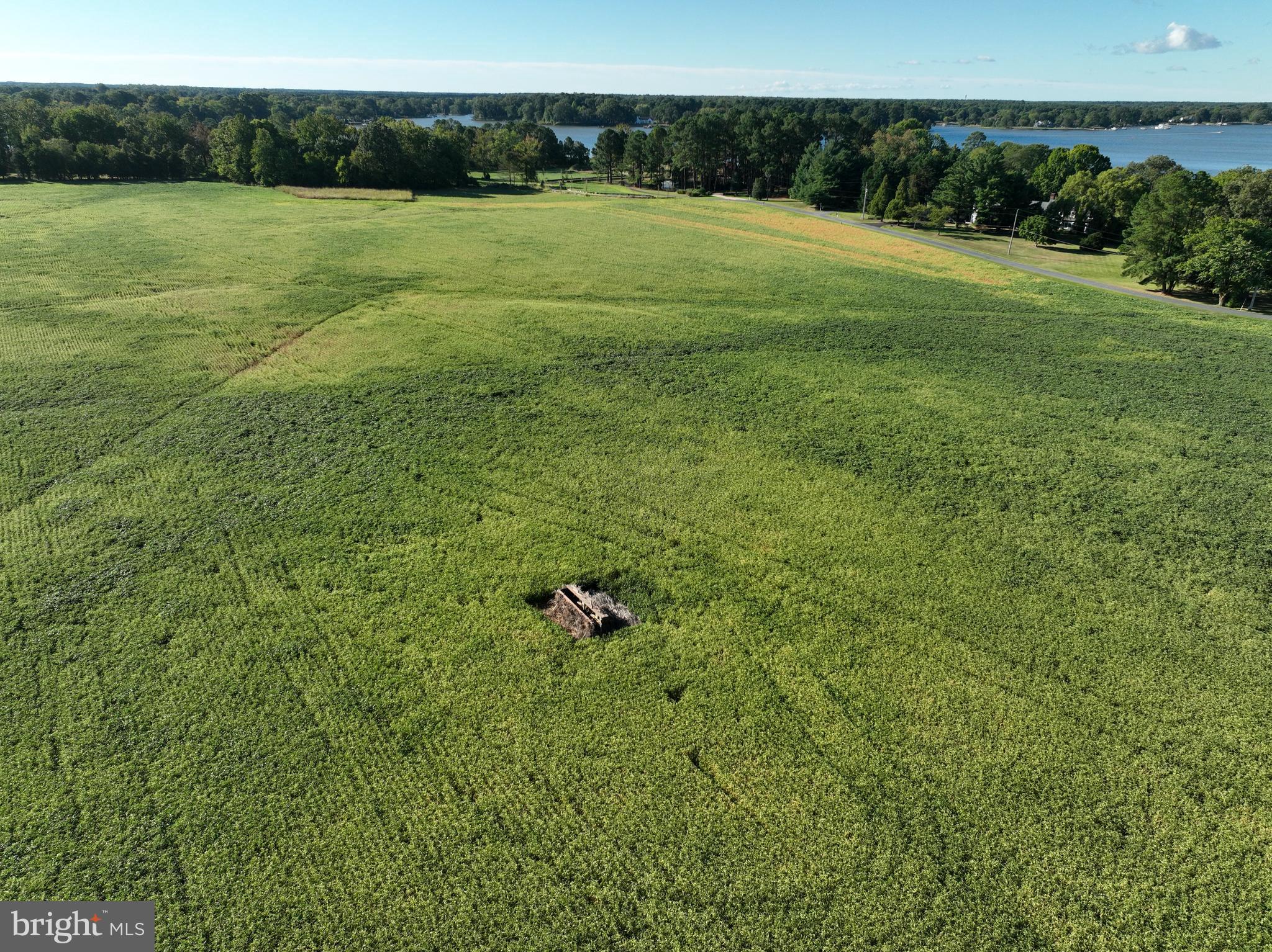 Real estate listing preview #5