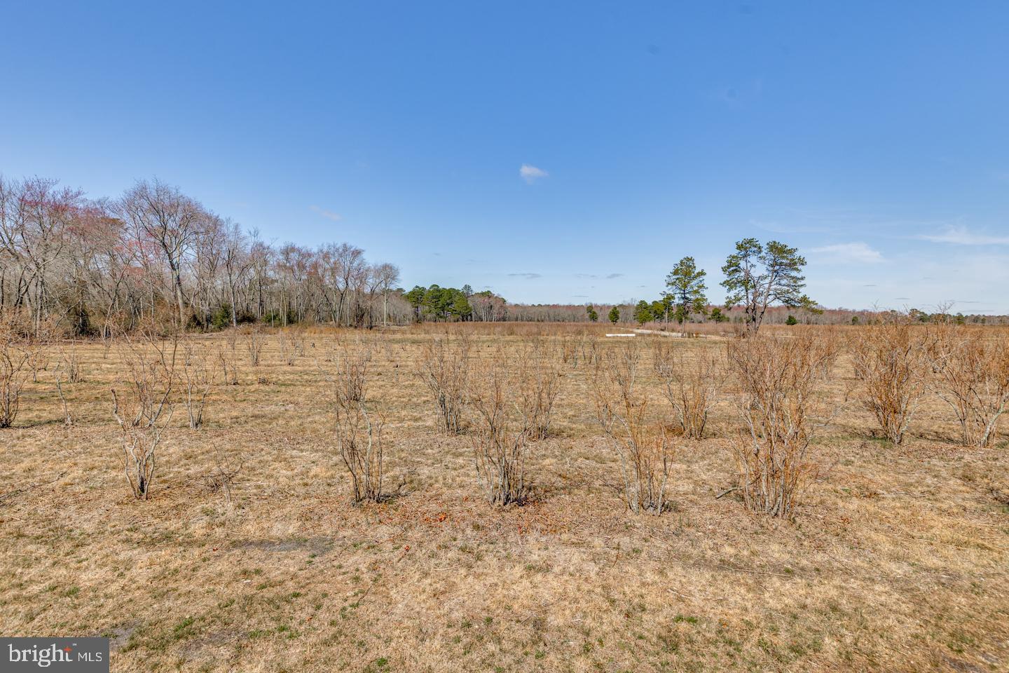 Real estate listing preview #29