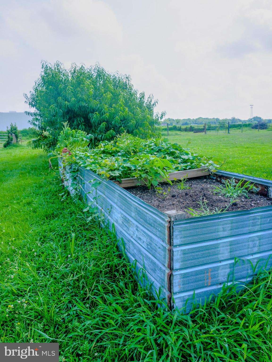 Real estate listing preview #28