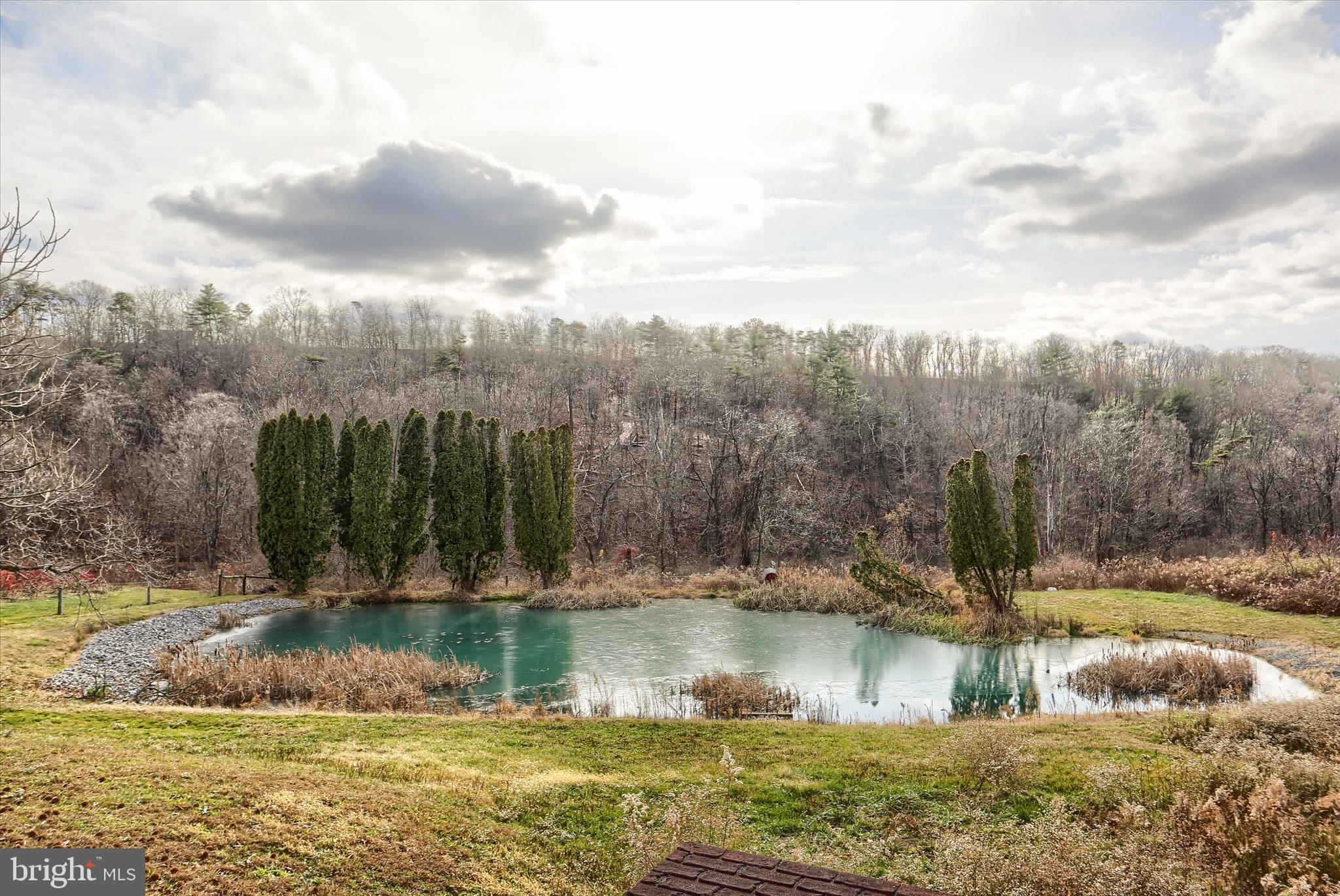 Real estate listing preview #44