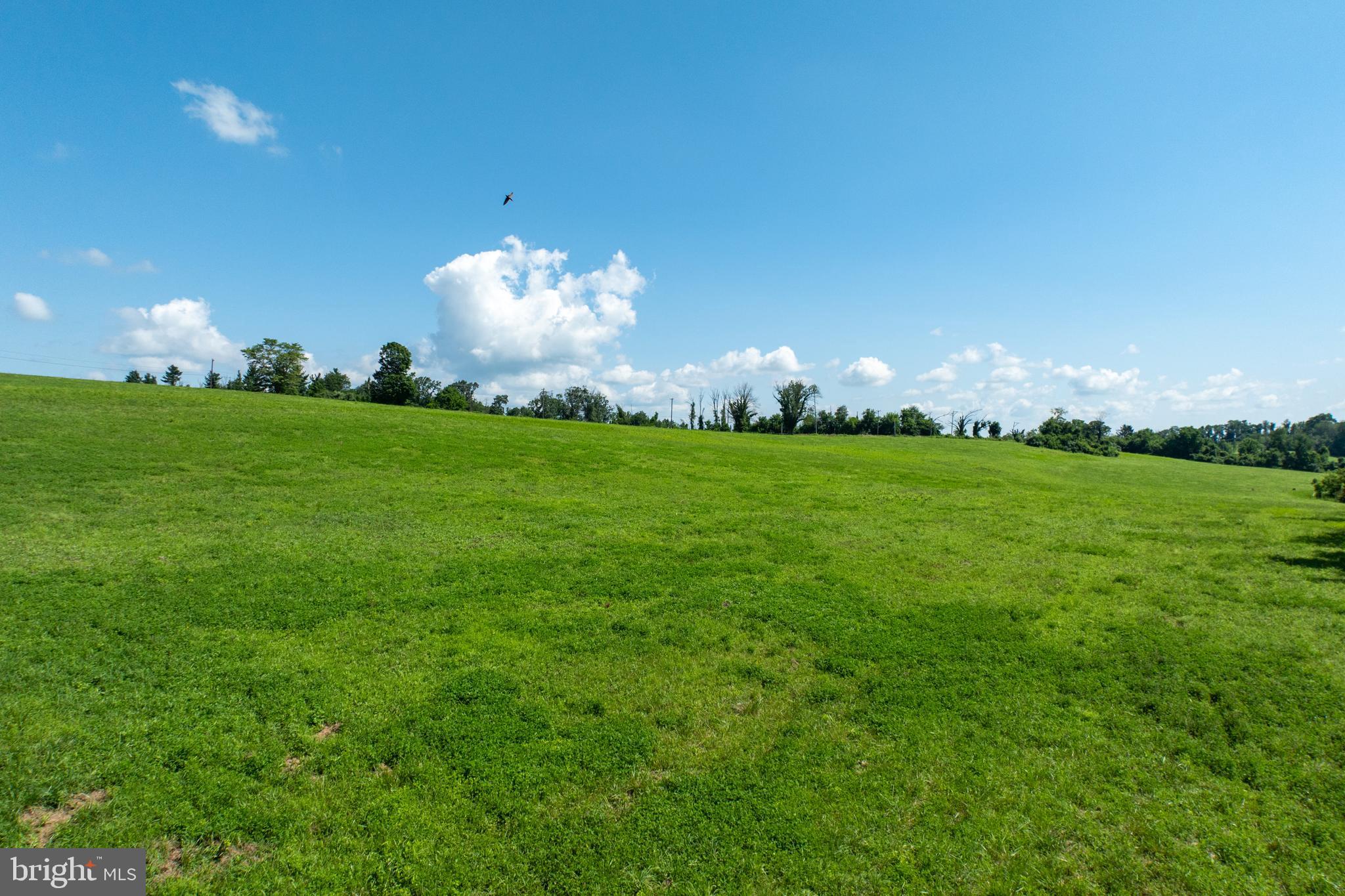 Real estate listing preview #15