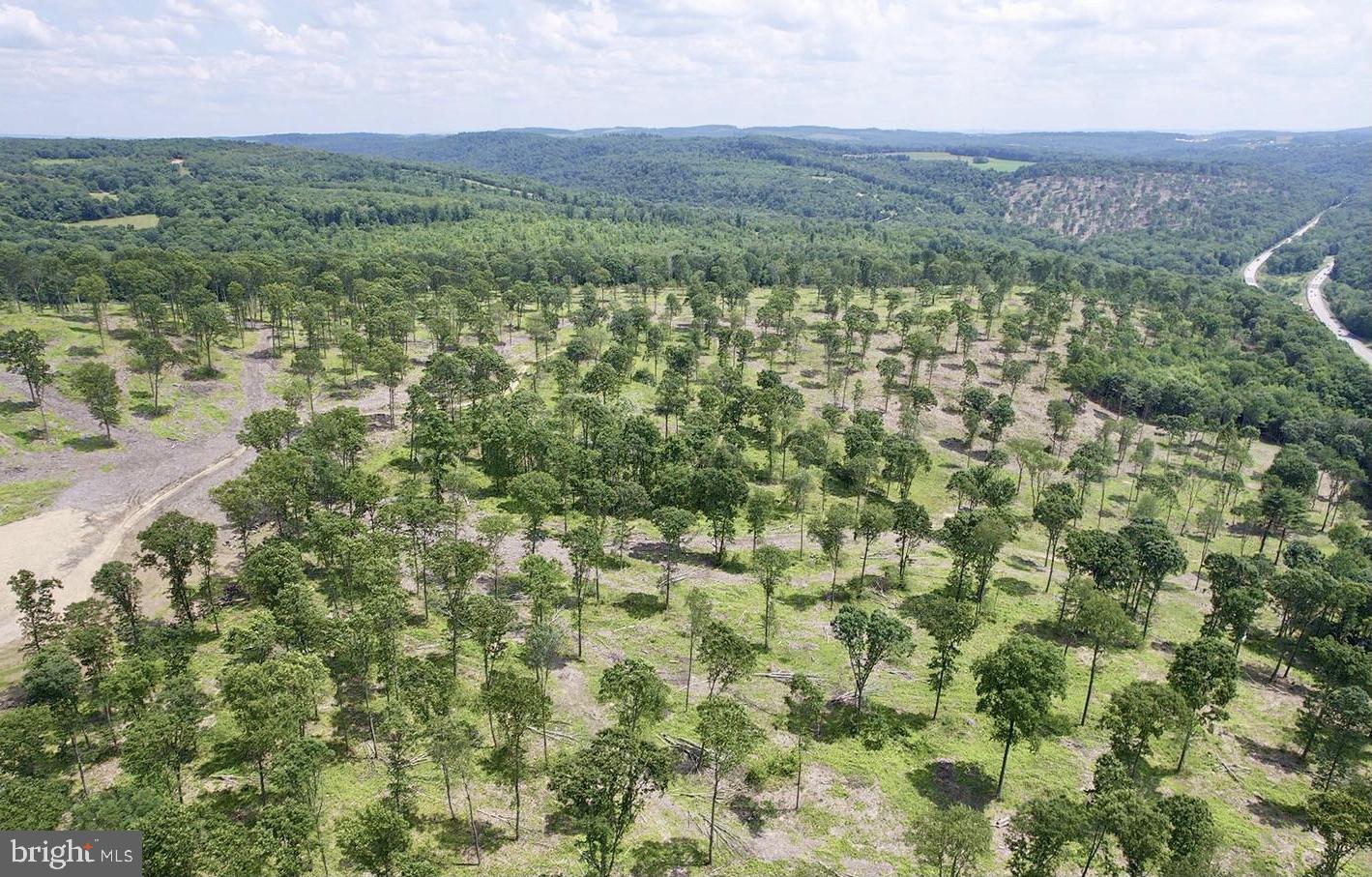 Real estate listing preview #8