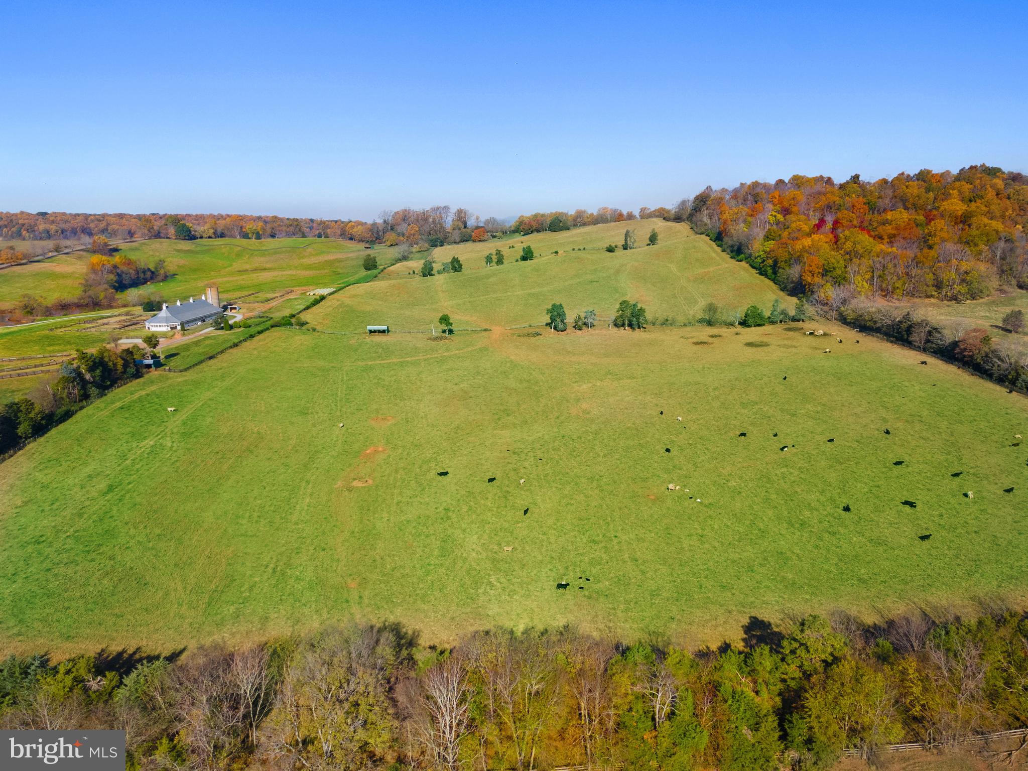 Real estate listing preview #3