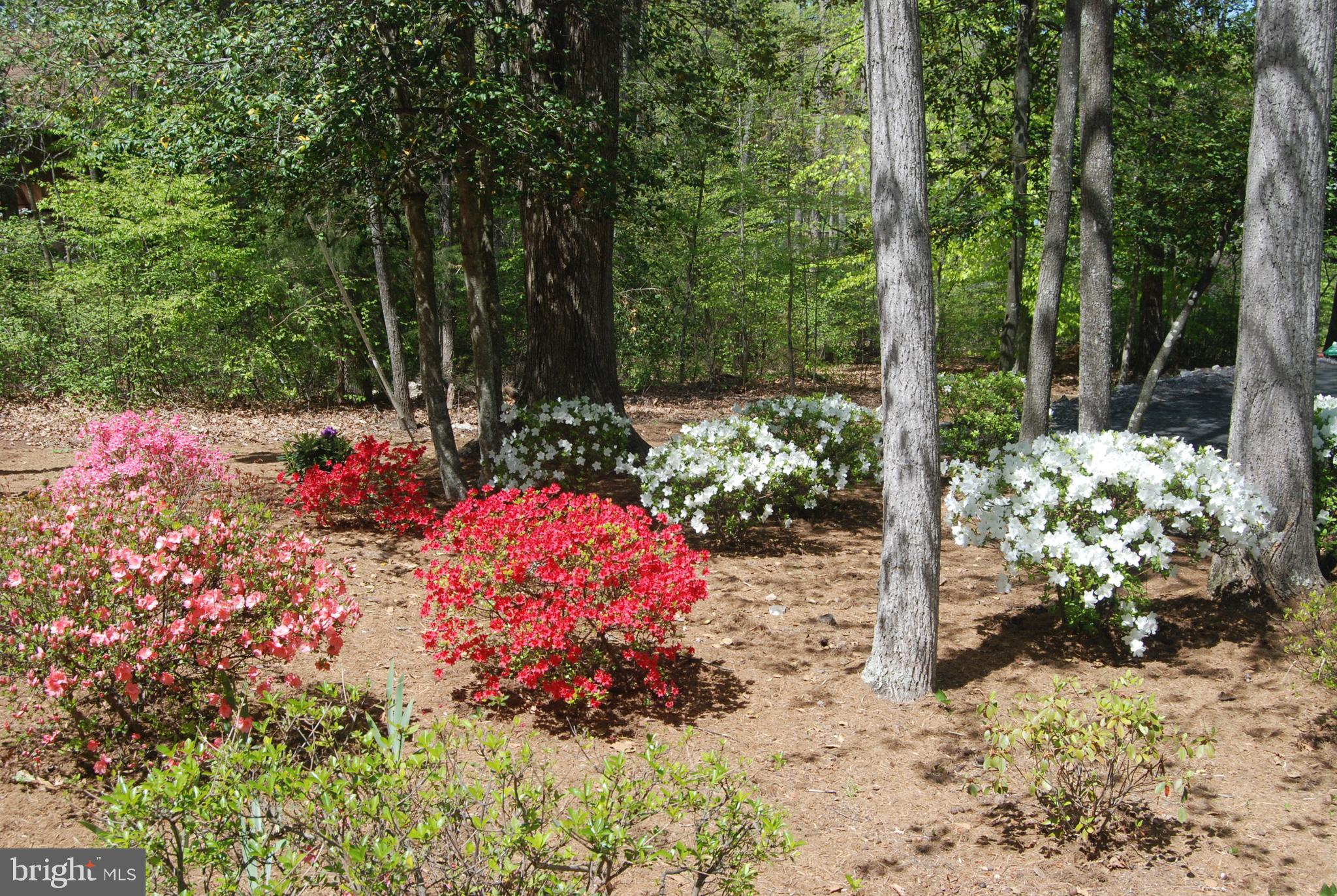 Real estate listing preview #39