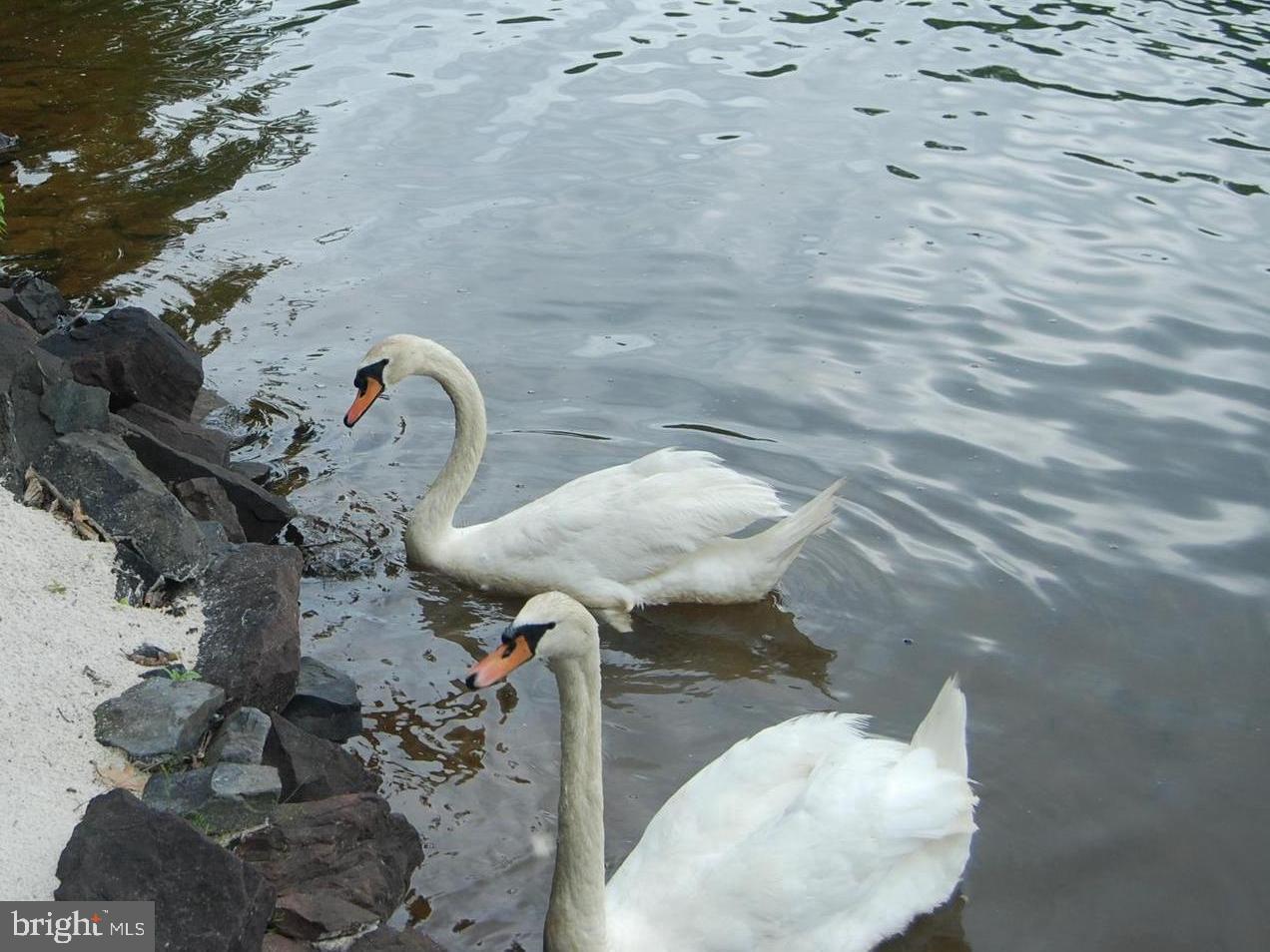 Real estate listing preview #50