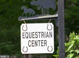 Real estate listing preview #63