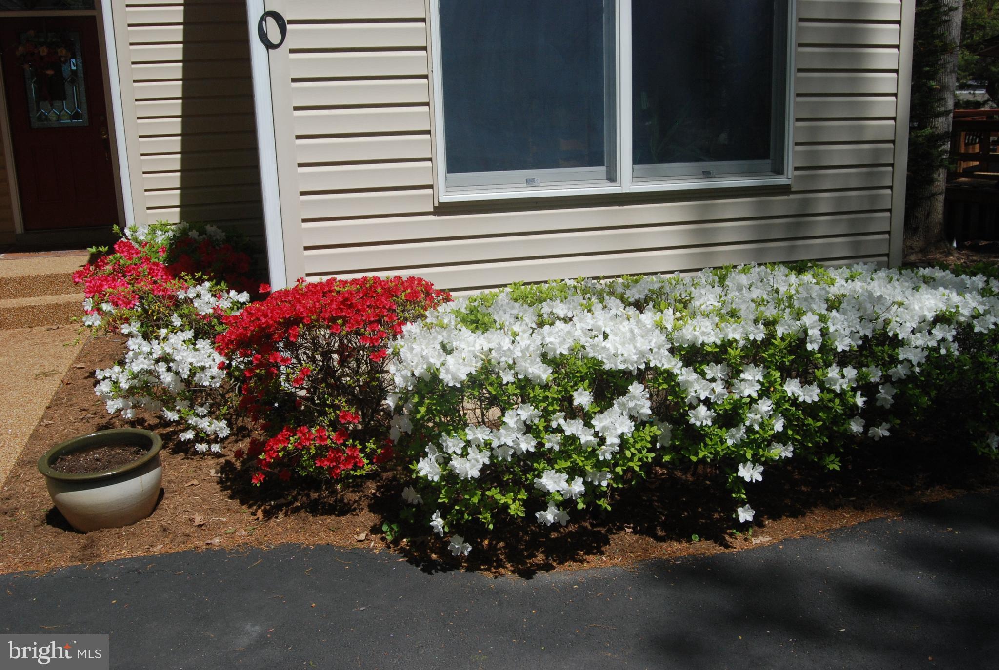 Real estate listing preview #42