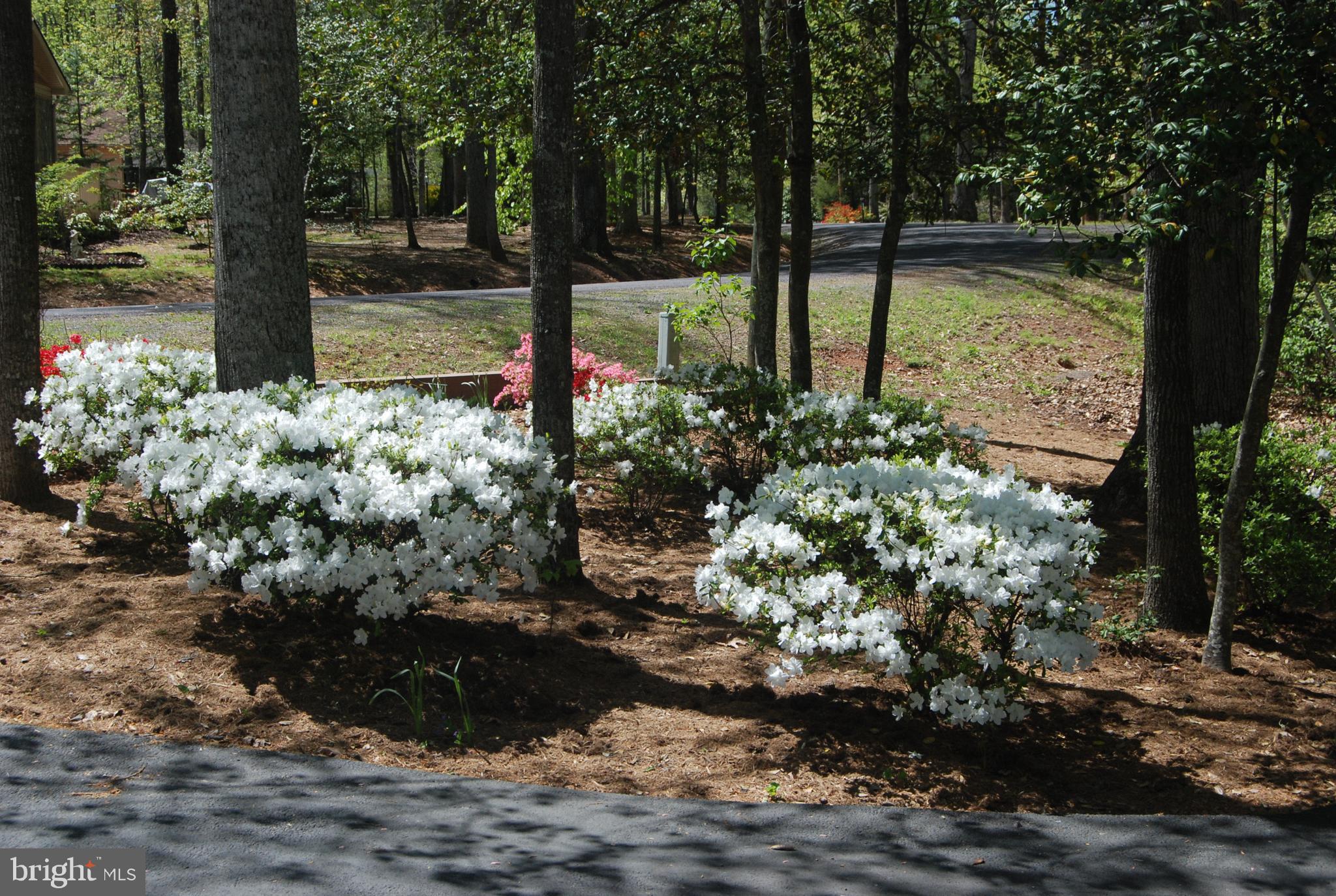 Real estate listing preview #40