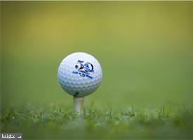 Real estate listing preview #55