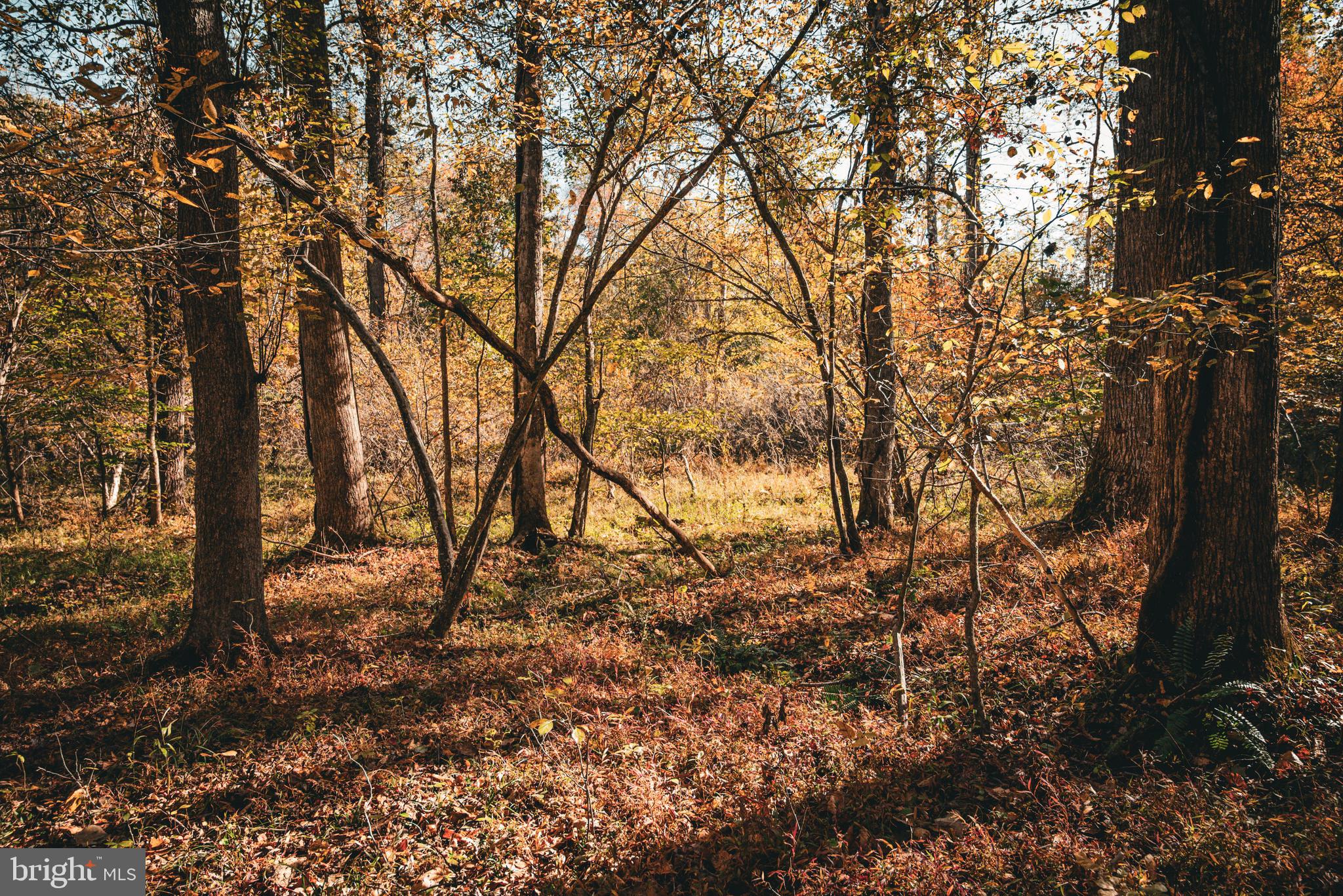 Real estate listing preview #8