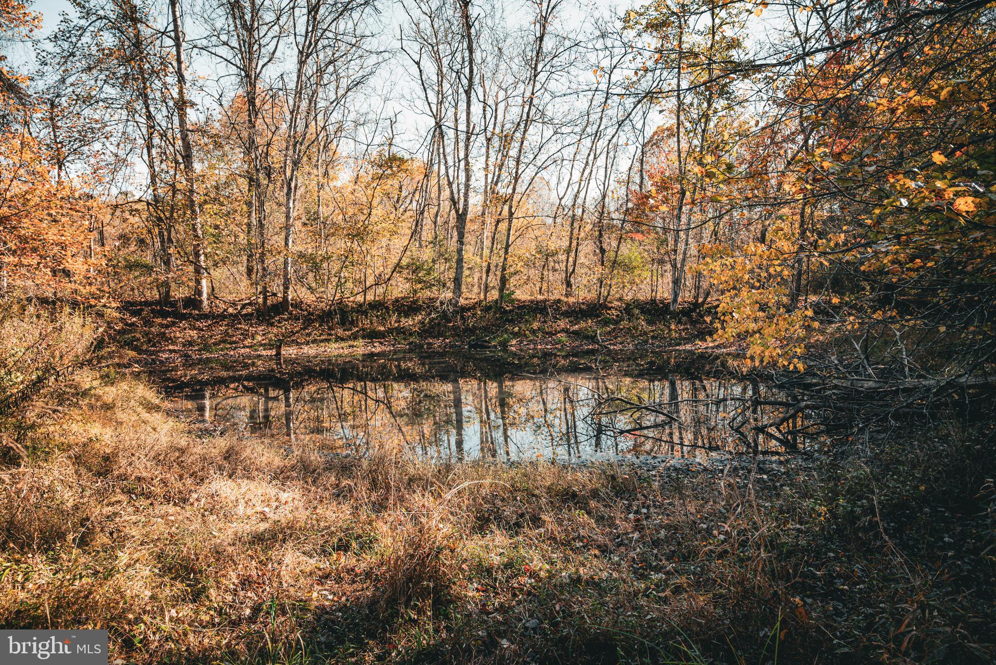 Real estate listing preview #9