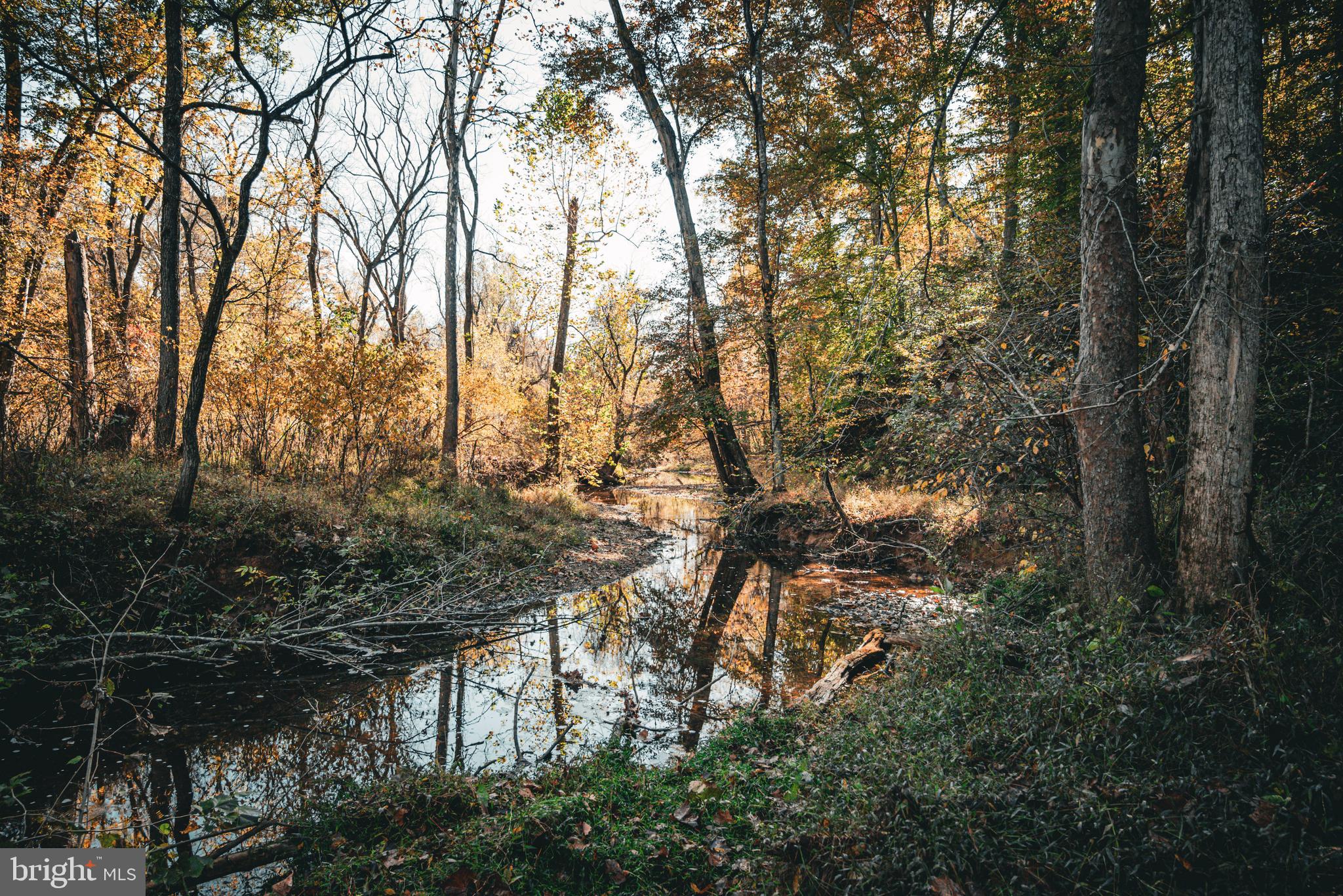 Real estate listing preview #14