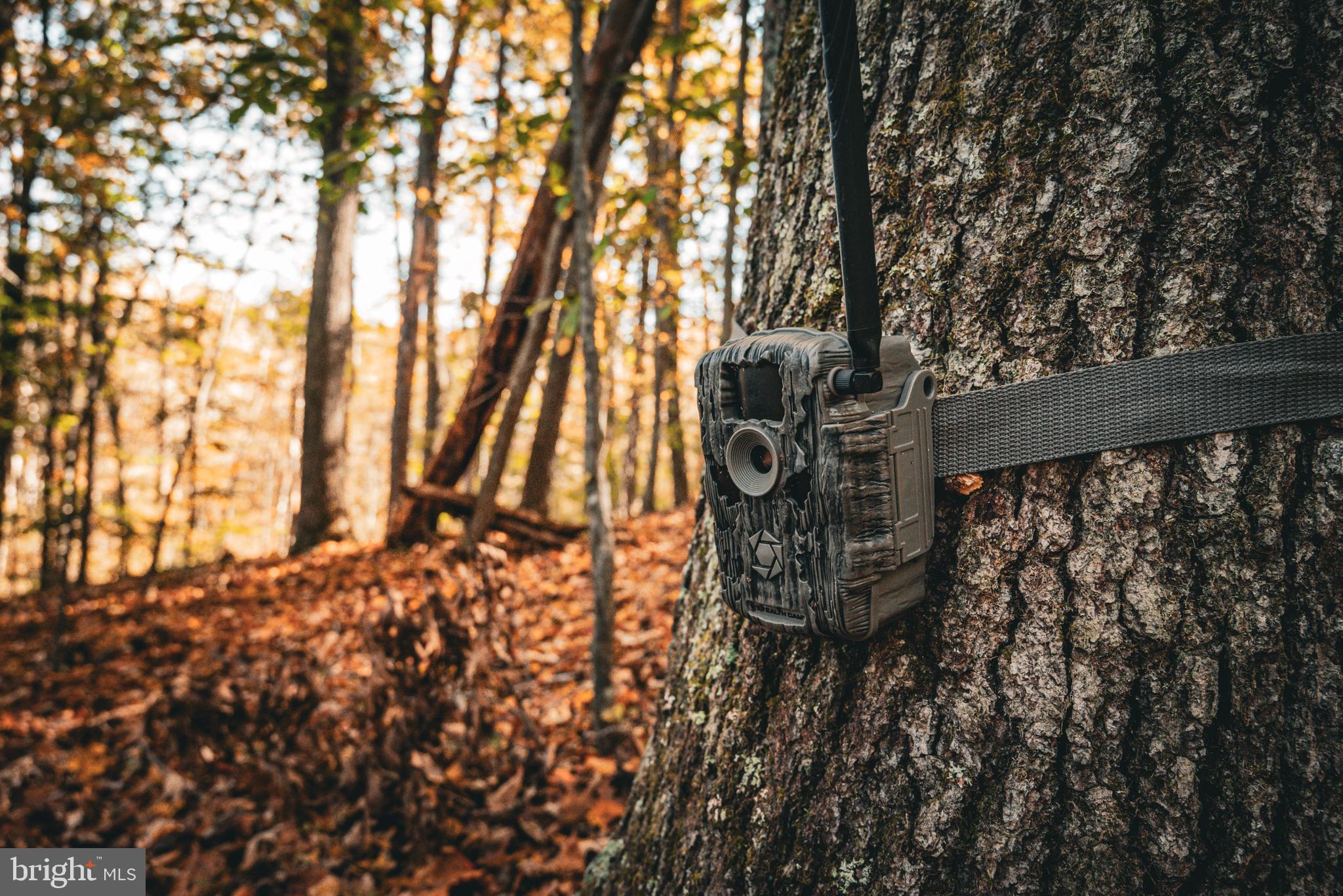 Real estate listing preview #12