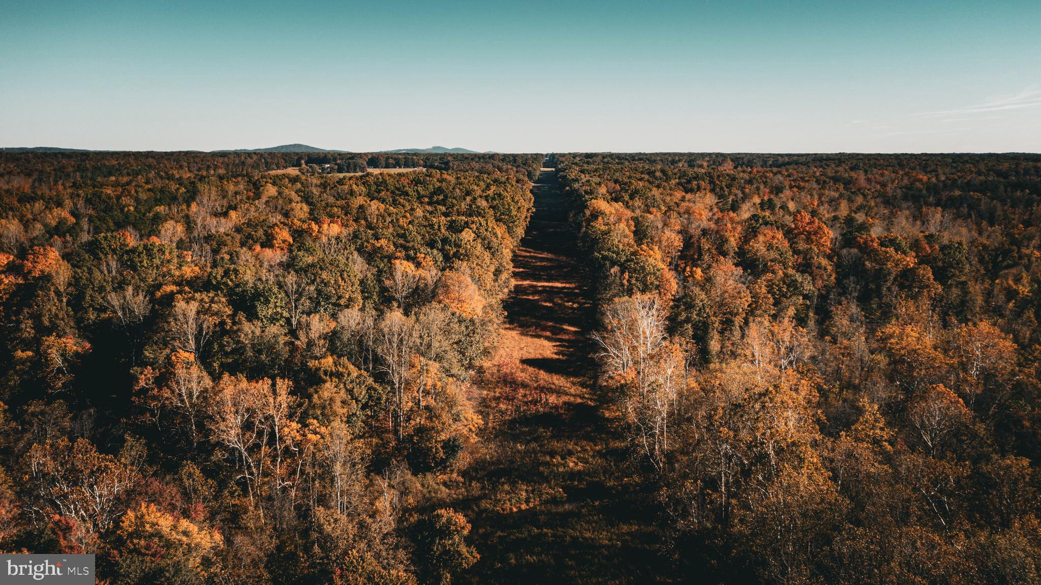 Real estate listing preview #4