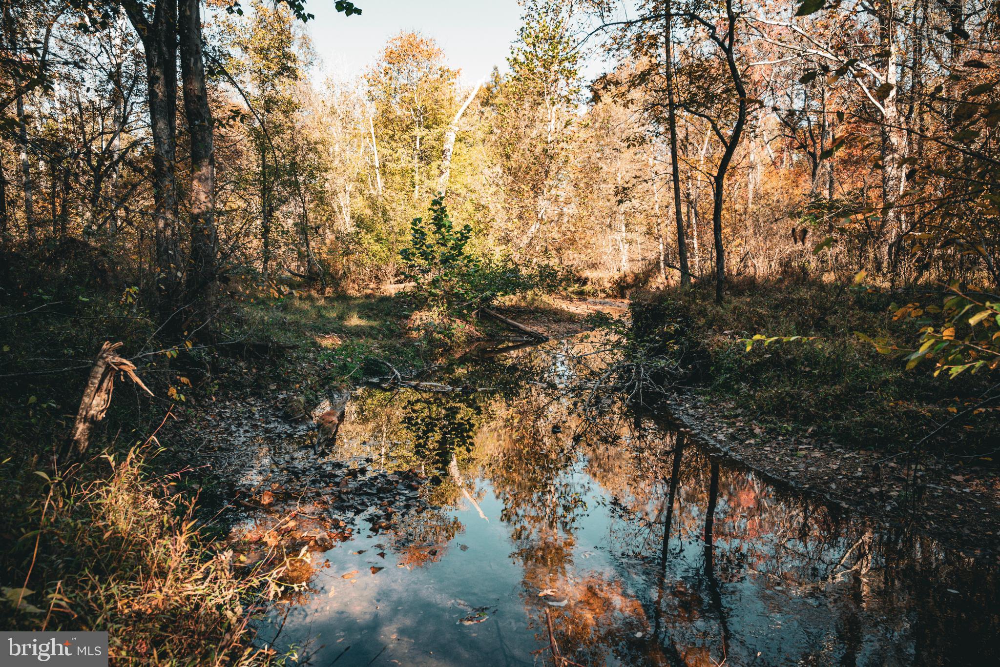 Real estate listing preview #15