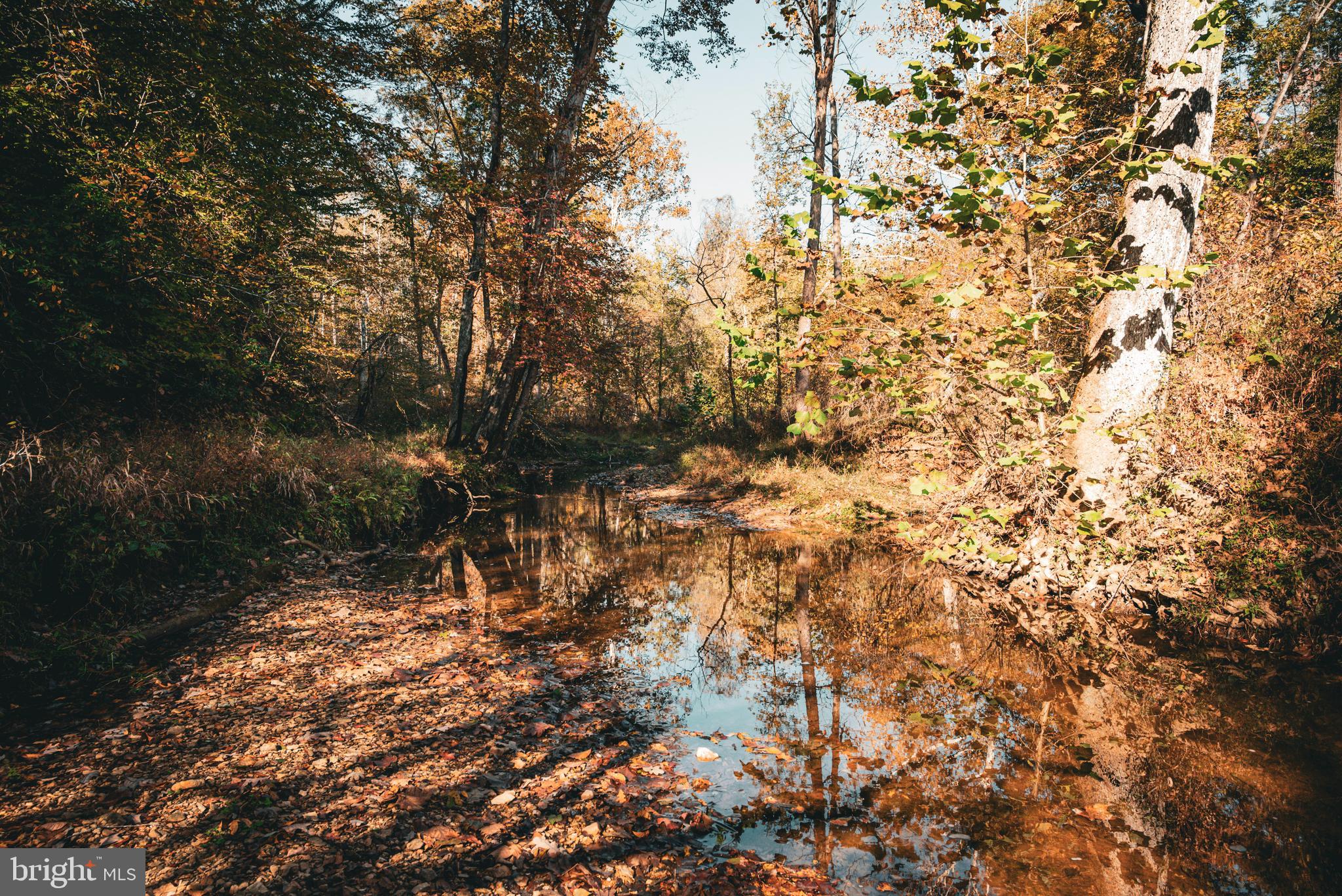 Real estate listing preview #16