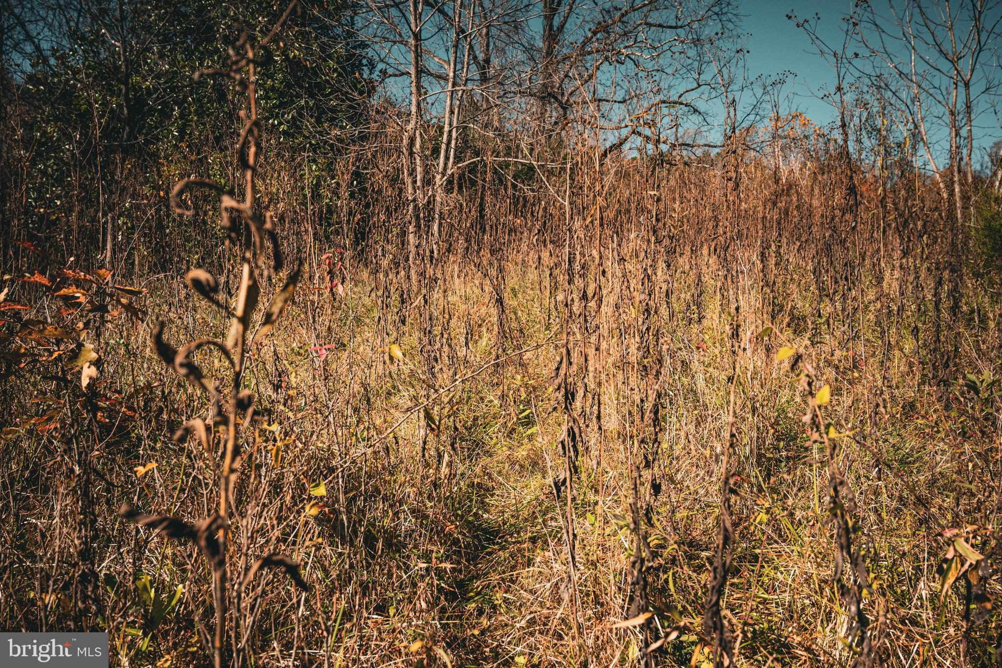 Real estate listing preview #17